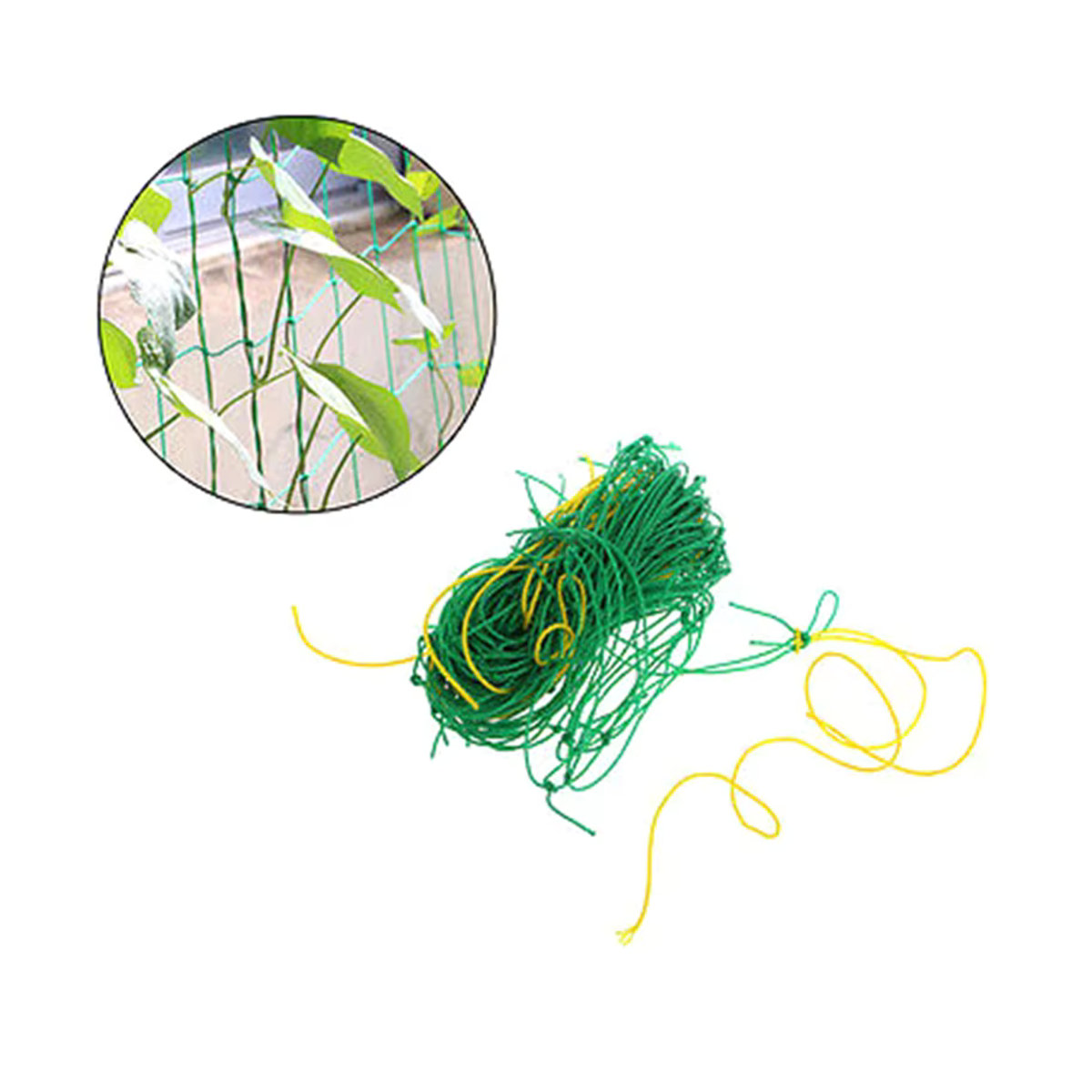 Grünes Nylon-Klettergitter als Pflanzenschutznetz zur Unterstützung von Bohnen und Kletterpflanzen im Garten - Bild 2
