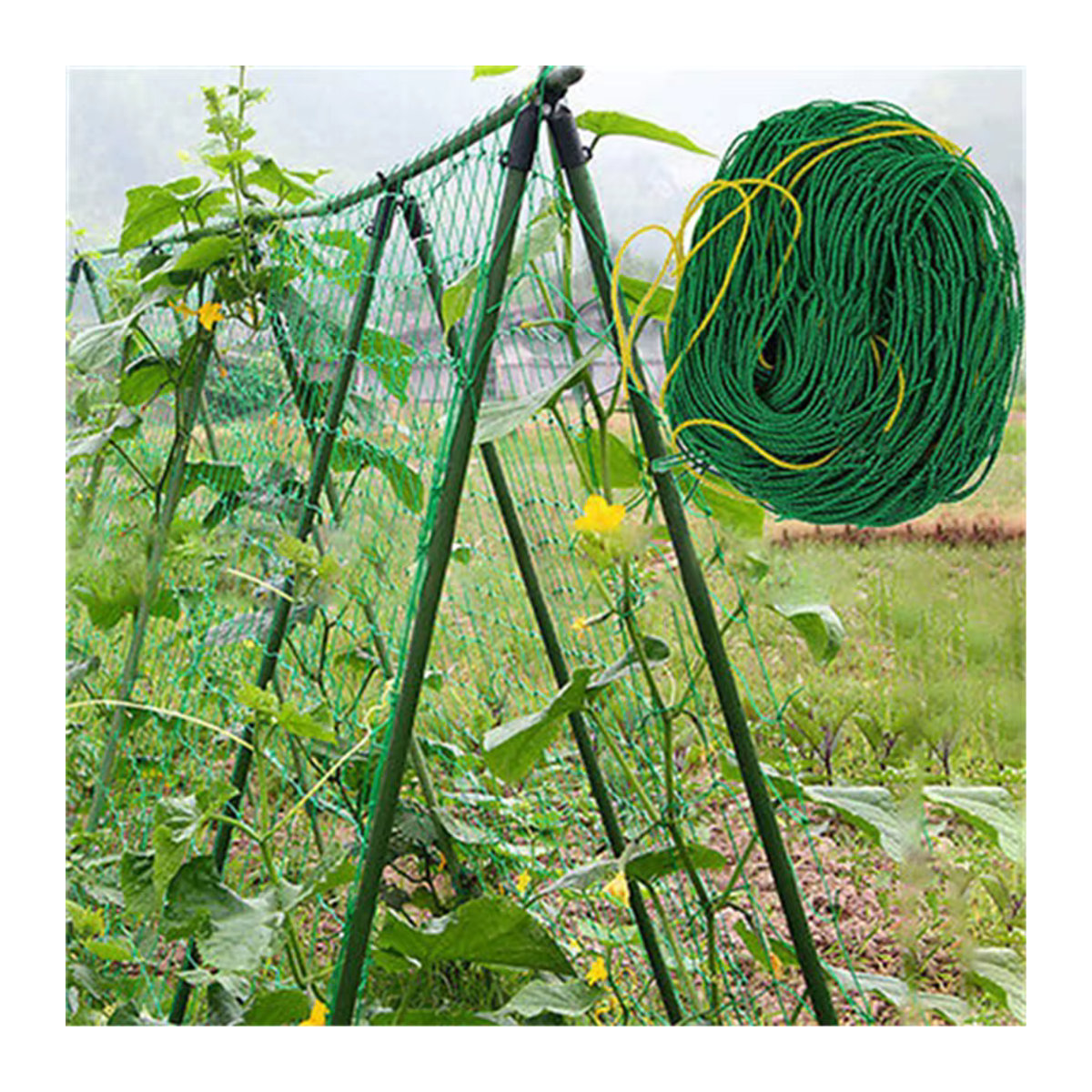 Grünes Nylon-Klettergitter als Pflanzenschutznetz zur Unterstützung von Bohnen und Kletterpflanzen im Garten - Bild 3