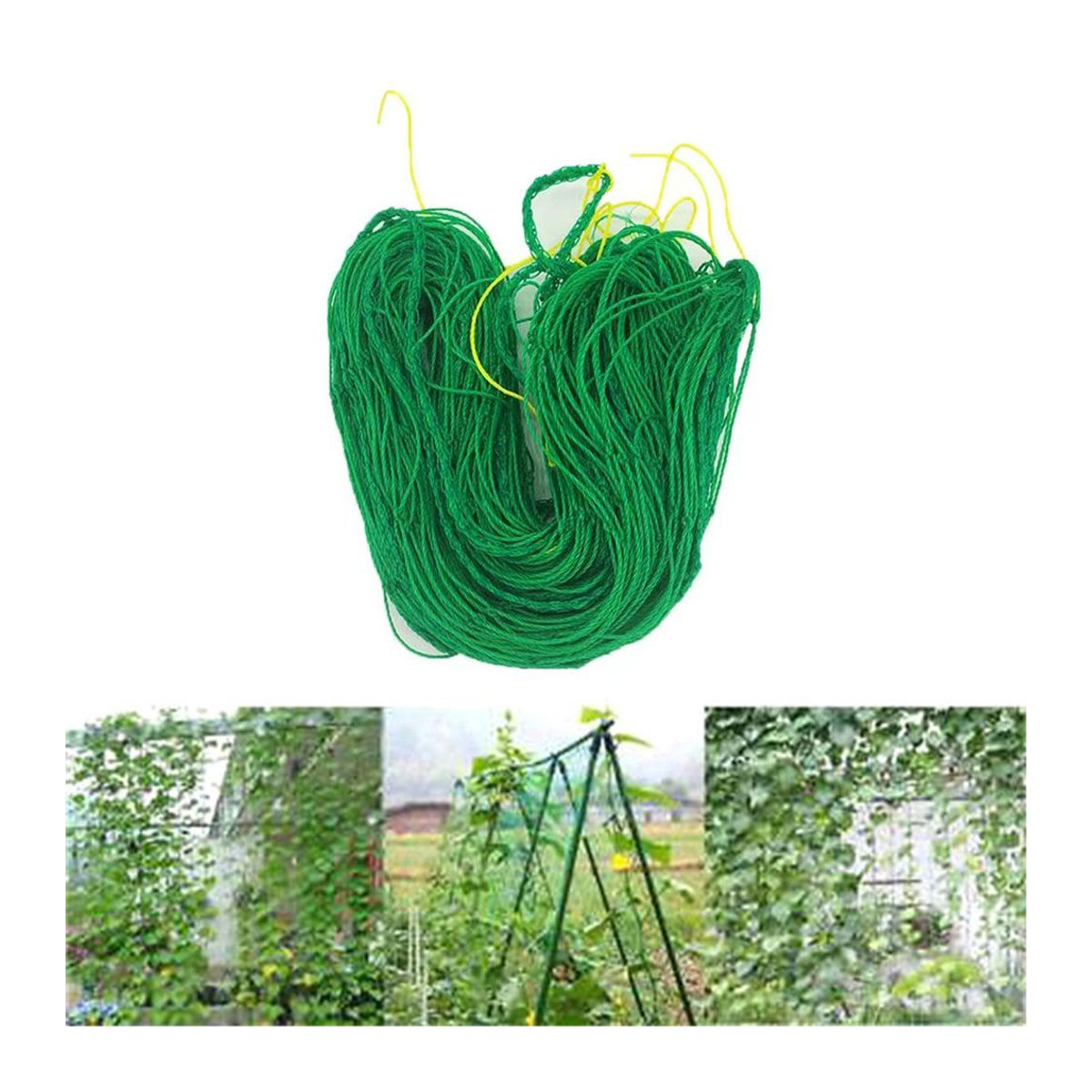 Grünes Ranknetz für Obst und Gemüse als Pflanzenstütze und Kletternetz für den Gemüsegarten, B: 5 m, H: 1,8 m - Bild 2