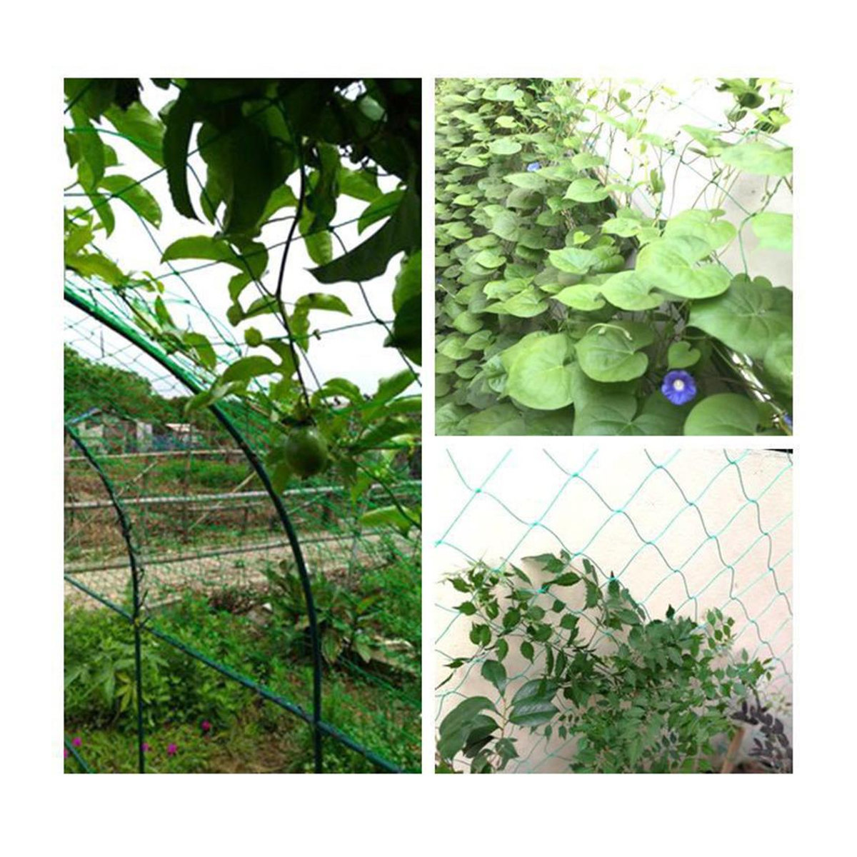 Grünes Ranknetz für Obst und Gemüse als Pflanzenstütze und Kletternetz für den Gemüsegarten, B: 5 m, H: 1,8 m - Bild 8