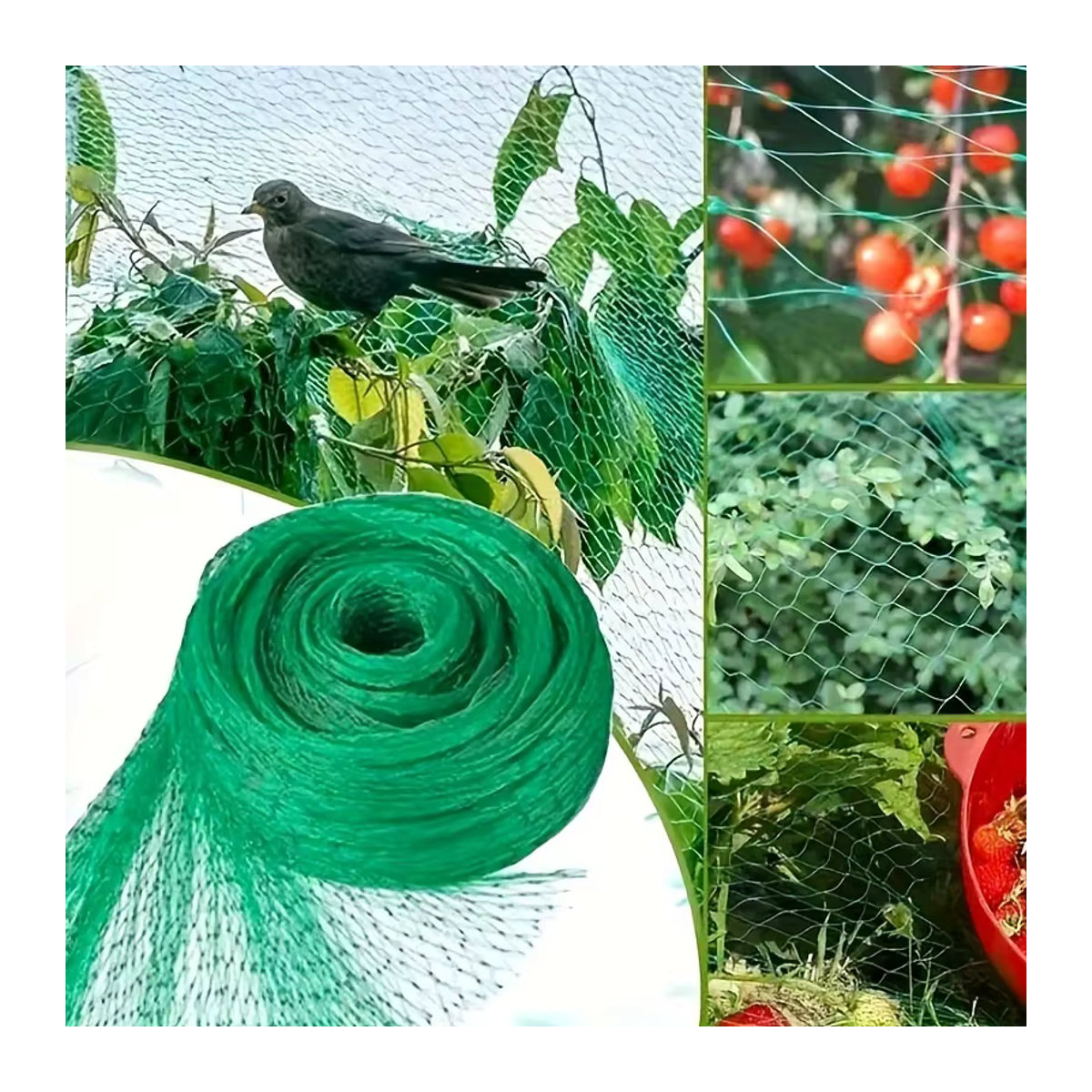 Grünes Vogelschutznetz zum Schutz von Obstbäumen, Pflanzen und Gemüse - Bild 2