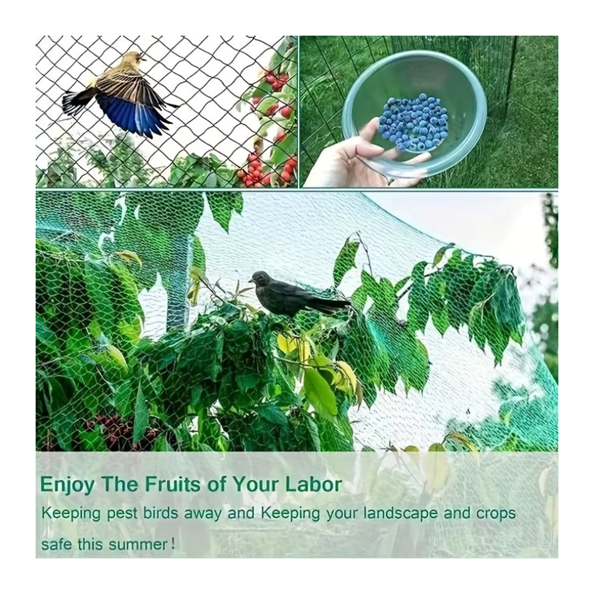 Grünes Vogelschutznetz zum Schutz von Obstbäumen, Pflanzen und Gemüse - Bild 3