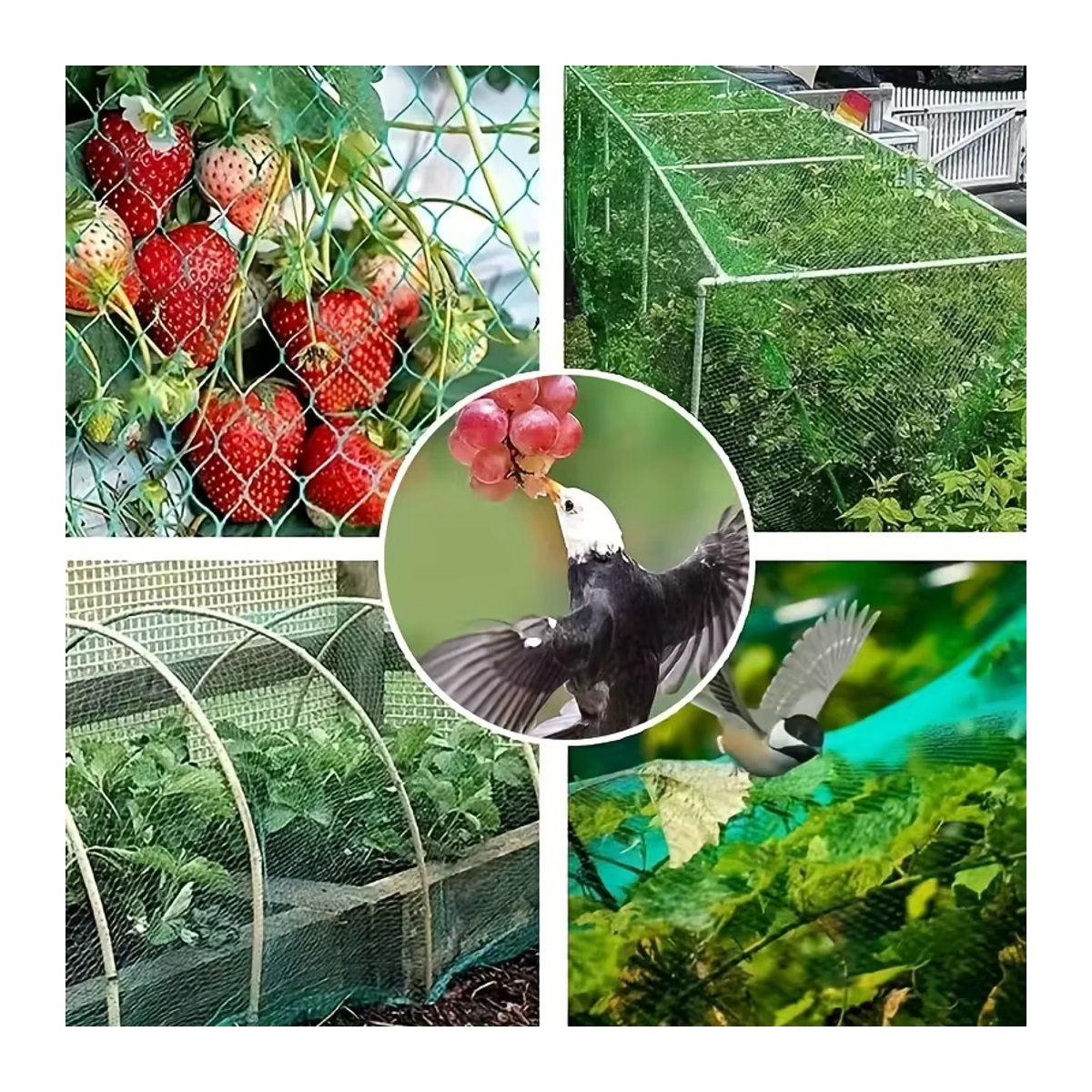 Grünes Vogelschutznetz zum Schutz von Obstbäumen, Pflanzen und Gemüse - Bild 4