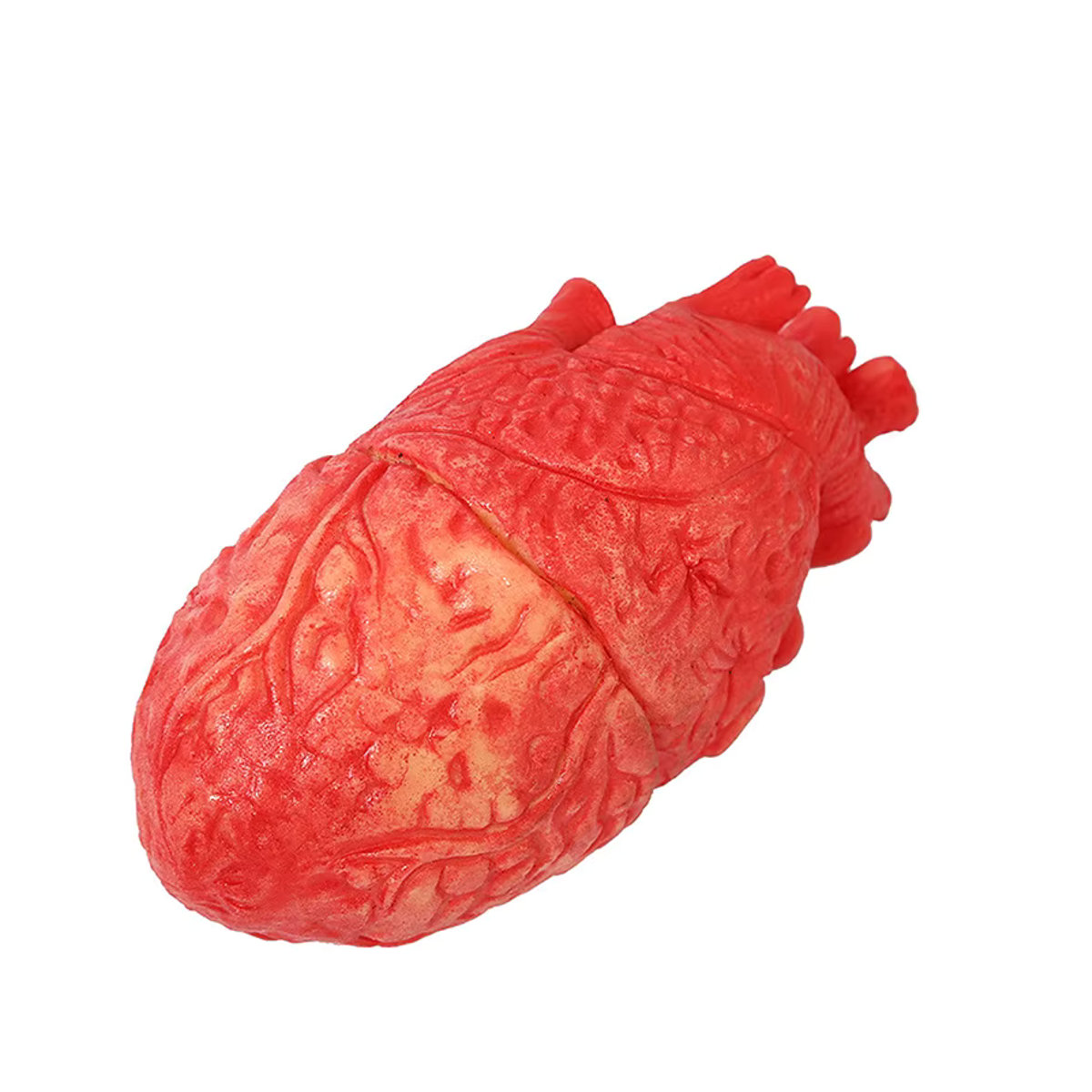 Gruseliges menschliches Herz aus Gummi als lebensgroße Halloween Dekoration - Bild 2