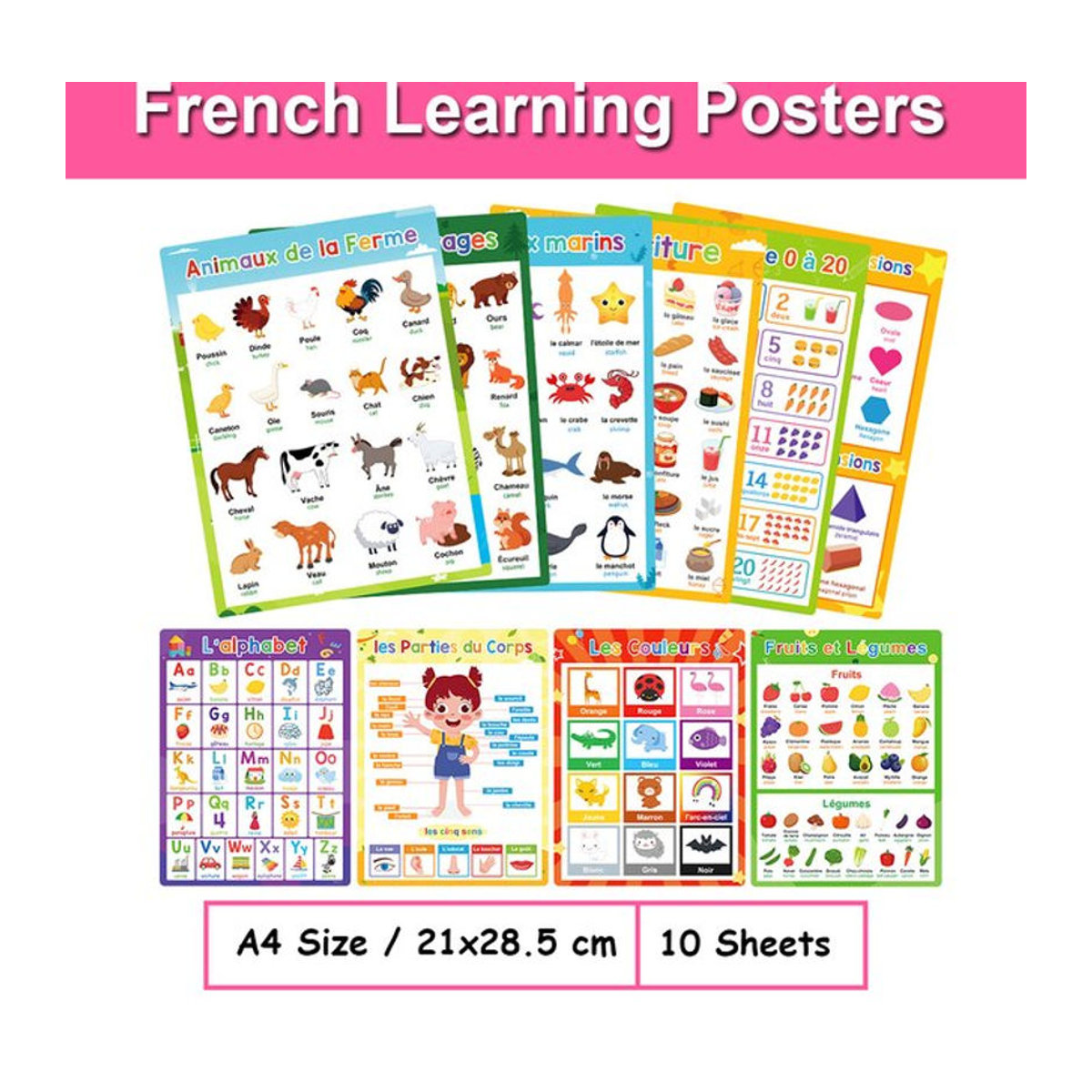 GSF 10er Set zweisprachige Lernposter Französisch-Englisch in A4, mehrfarbige Lehrmittel für Kinder und Klassenzimmer, B: 21 cm, H: 28,5 cm - Bild 1