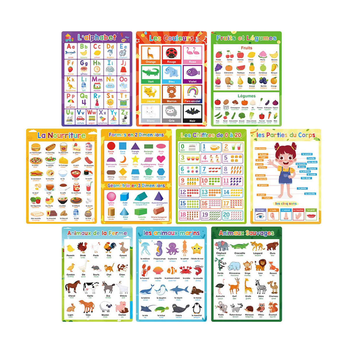 GSF 10er Set zweisprachige Lernposter Französisch-Englisch in A4, mehrfarbige Lehrmittel für Kinder und Klassenzimmer, B: 21 cm, H: 28,5 cm - Bild 2