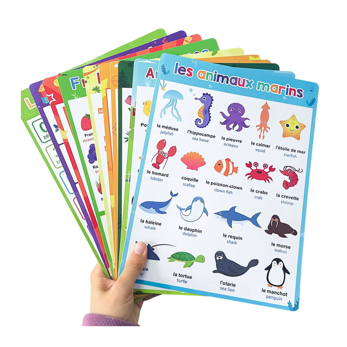 GSF 10er Set zweisprachige Lernposter Französisch-Englisch in A4, mehrfarbige Lehrmittel für Kinder und Klassenzimmer, B: 21 cm, H: 28,5 cm - Bild 3
