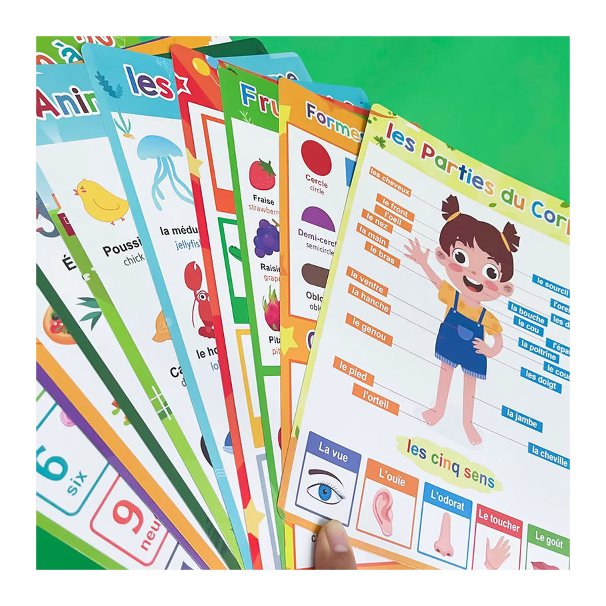 GSF 10er Set zweisprachige Lernposter Französisch-Englisch in A4, mehrfarbige Lehrmittel für Kinder und Klassenzimmer, B: 21 cm, H: 28,5 cm - Bild 4