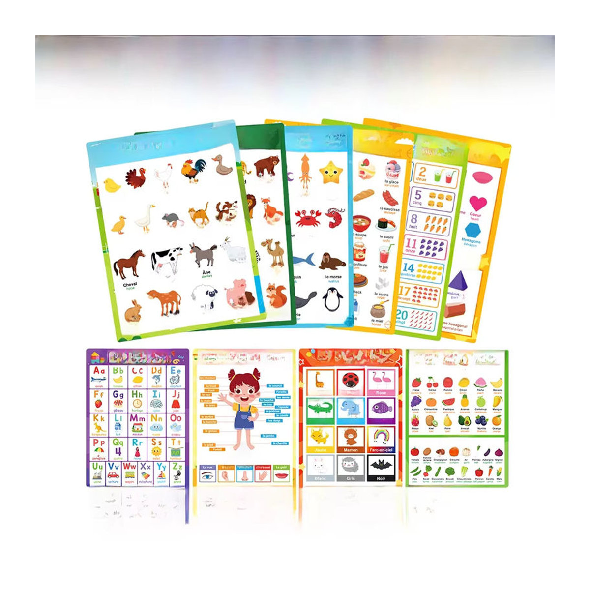 GSF 10er Set zweisprachige Lernposter Französisch-Englisch in A4, mehrfarbige Lehrmittel für Kinder und Klassenzimmer, B: 21 cm, H: 28,5 cm - Bild 5