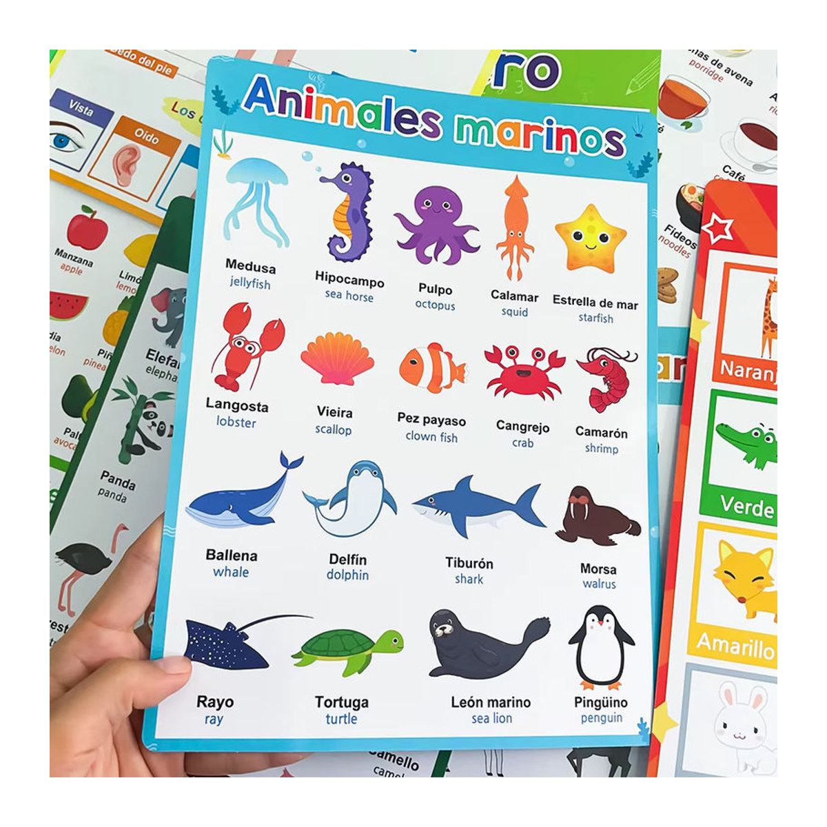 GSF Zweisprachiges Spanisch-Englisch Lernposter für Kinder mit Buchstaben und Typografie, mehrfarbig, A4, Breite: 21 cm, Höhe: 28,5 cm - Bild 2