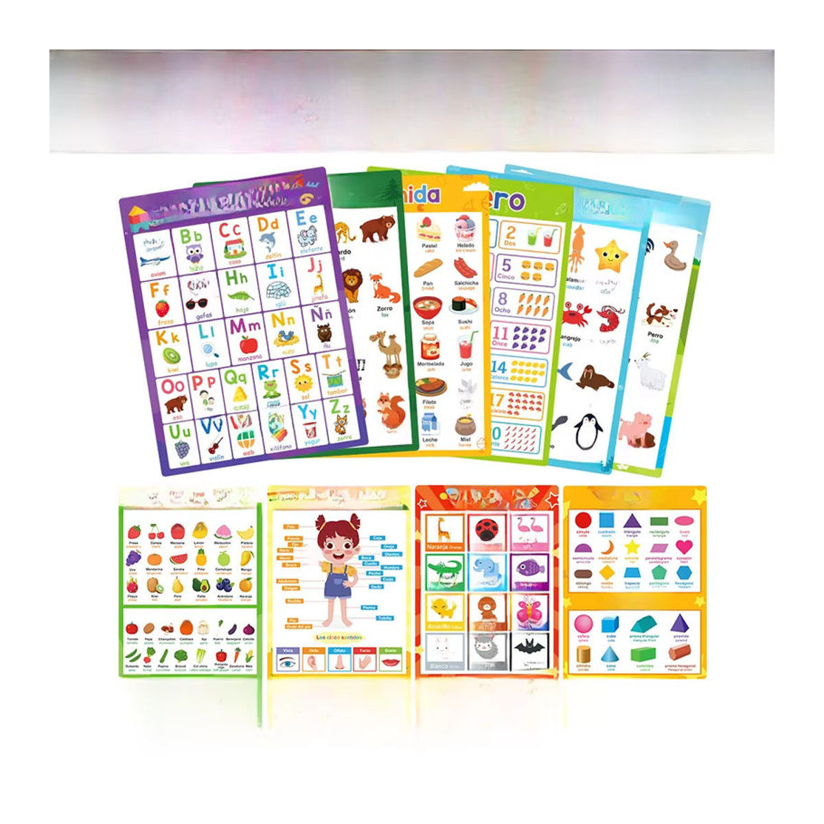 GSF Zweisprachiges Spanisch-Englisch Lernposter für Kinder mit Buchstaben und Typografie, mehrfarbig, A4, Breite: 21 cm, Höhe: 28,5 cm - Bild 4