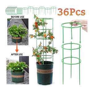 Halbkreis Spalier Pflanzenstützpfähle mit Stangenklammern für Topfpflanzen, Bonsai und Weinreben, 6-36 Stück
