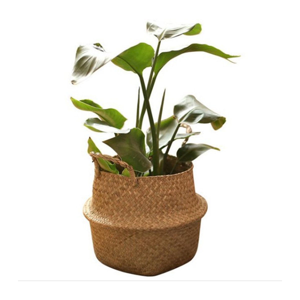 Handgefertigter Aufbewahrungskorb aus Stroh von Igeteck in runder Form, ideal als Pflanzgefäß oder Picknickbehälter, Durchmesser: 32 cm - Bild 1