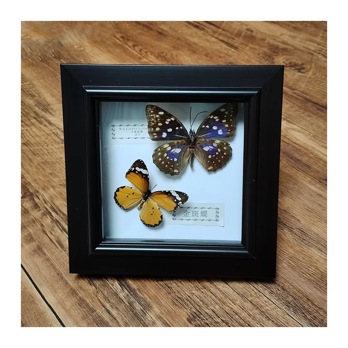Handgefertigter Schmetterlingsrahmen mit zwei Schmetterlingen in quadratischer Schattenbox aus Holz, mehrfarbig und freistehend - Bild 2