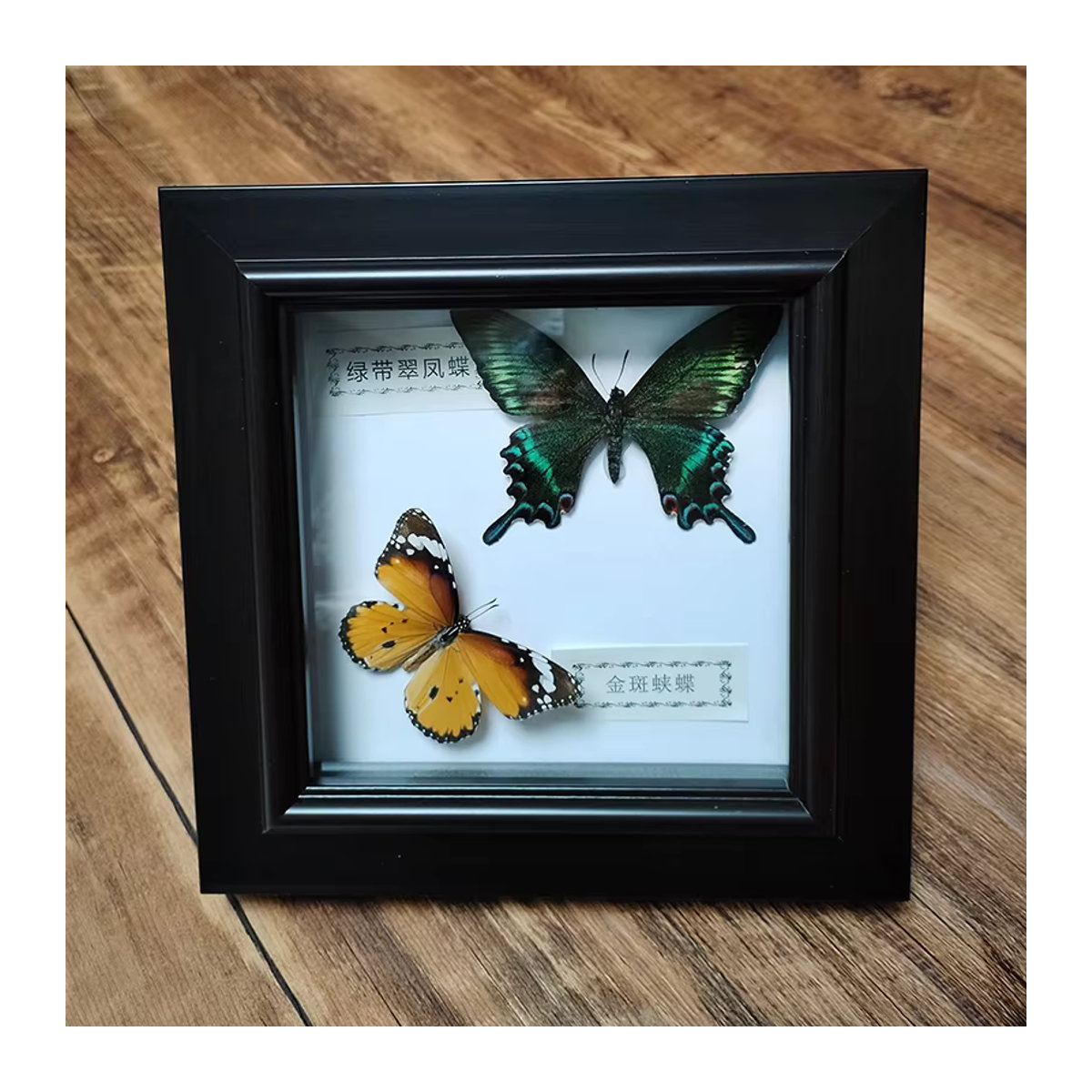 Handgefertigter Schmetterlingsrahmen mit zwei Schmetterlingen in quadratischer Schattenbox aus Holz, mehrfarbig und freistehend - Bild 3