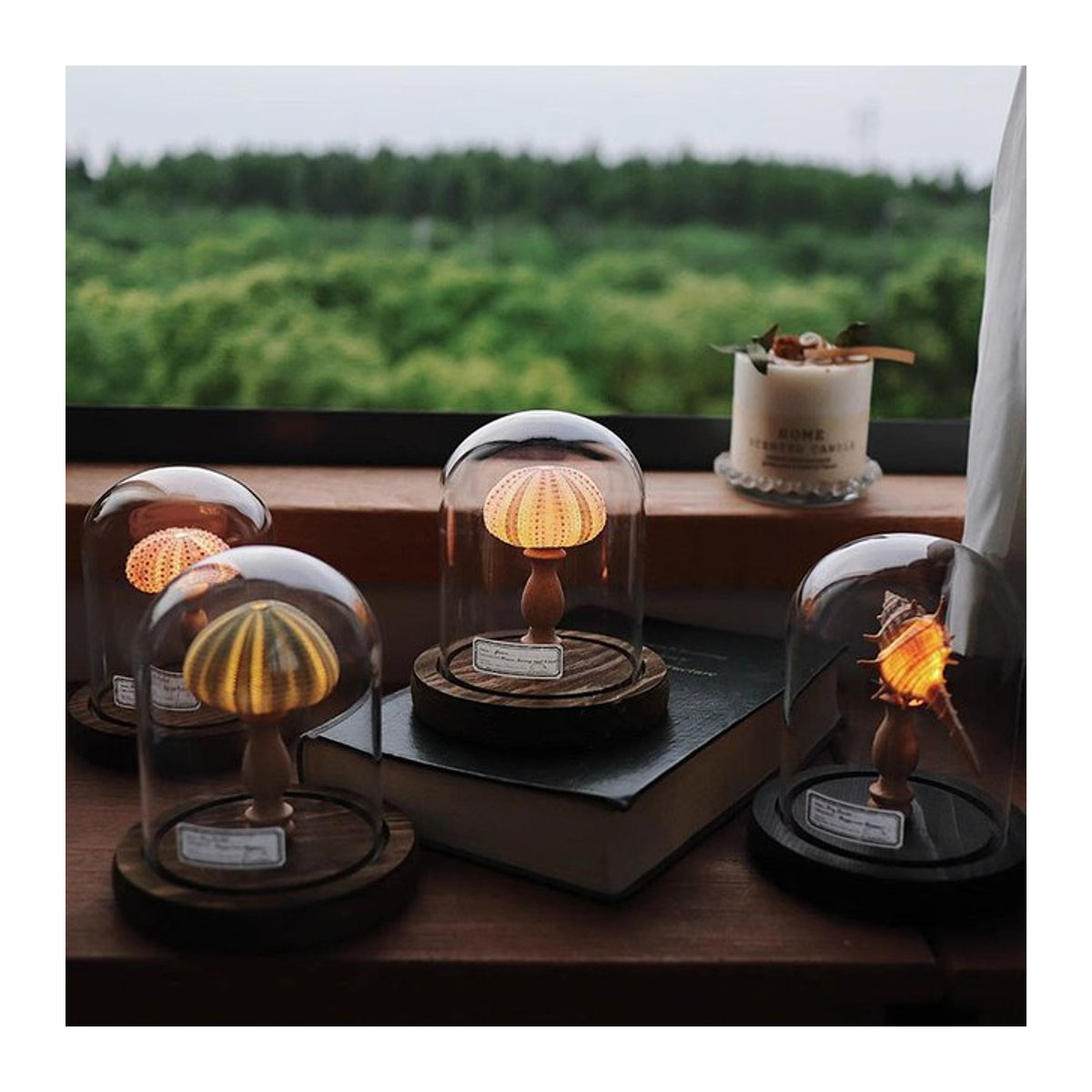Handgemachtes DIY Seeigel und Muschel Nachtlicht als dekoratives Schreibtisch-Ornament für dein Zimmer - Bild 1