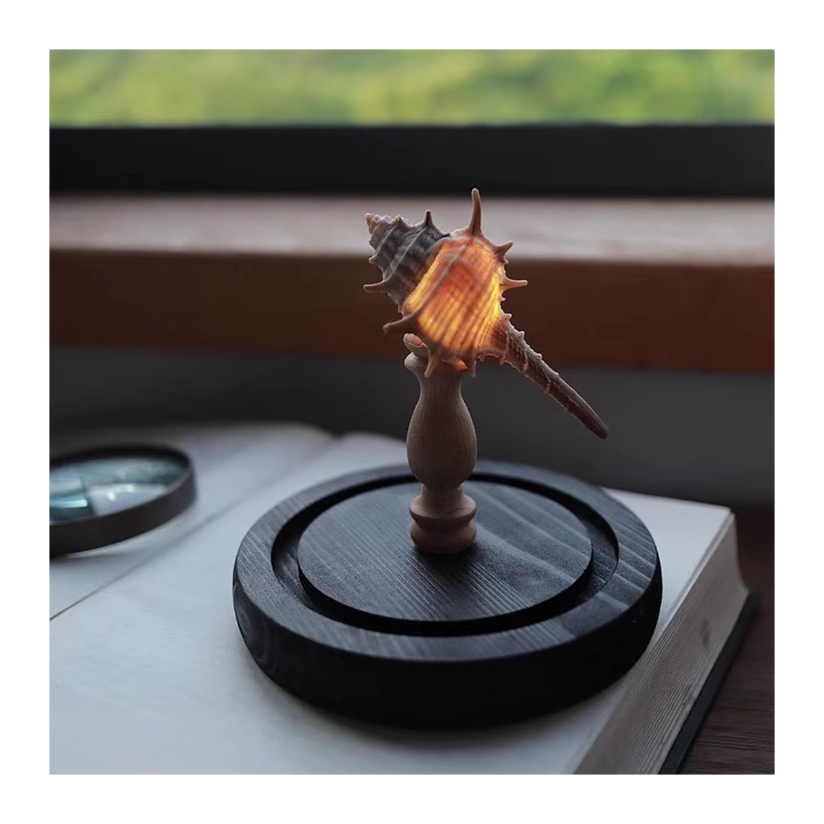 Handgemachtes DIY Seeigel und Muschel Nachtlicht als dekoratives Schreibtisch-Ornament für dein Zimmer - Bild 4