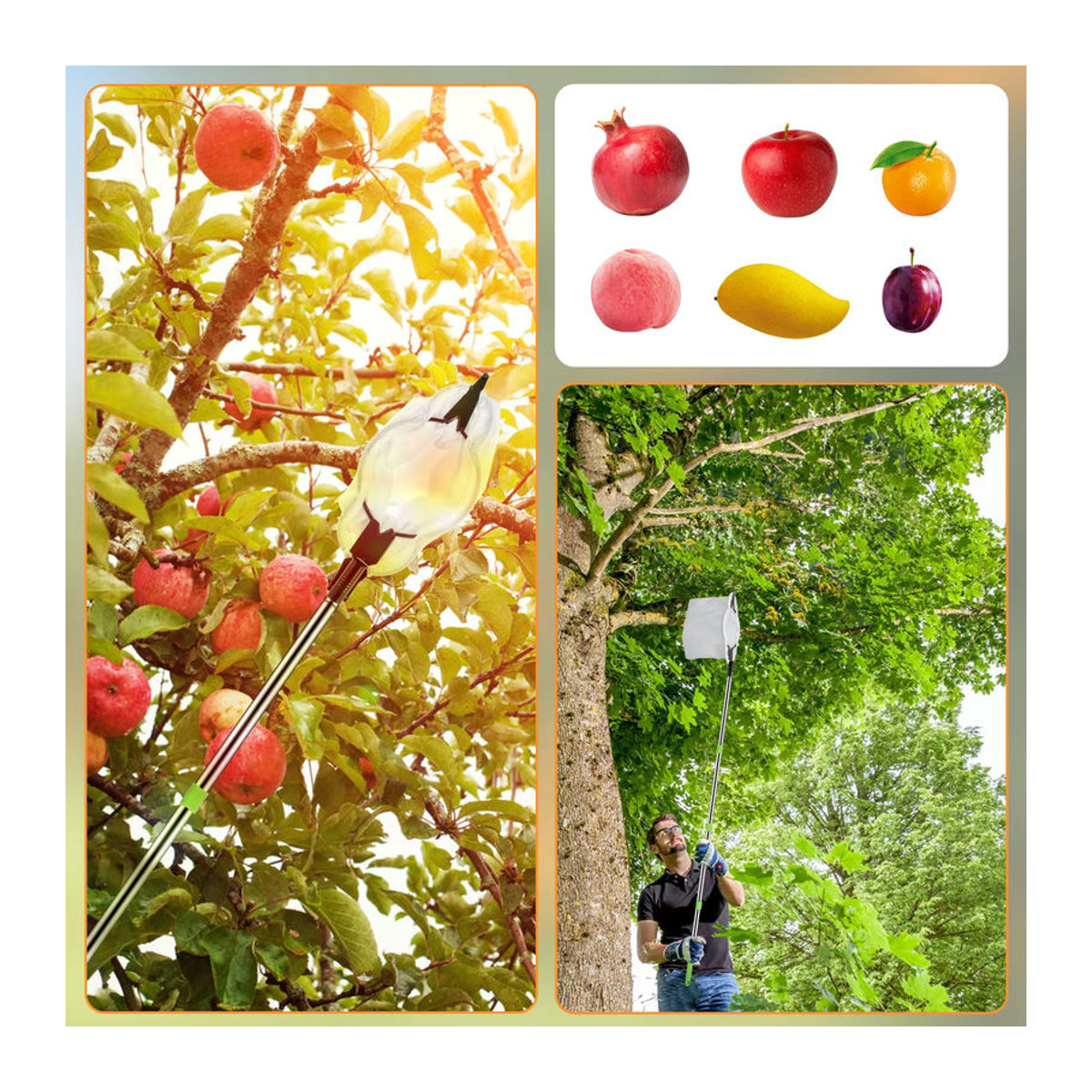 Hands DIY Obstpflücker aus Edelstahl mit Aufbewahrungstasche, verstellbare Höhe 1,6 bis 2 m, rutschfester Obstroder für den Garten - Bild 2