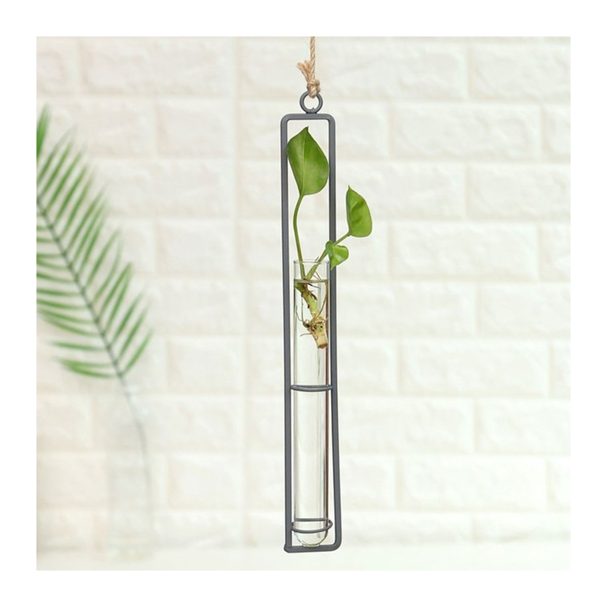 Hängende Glasvase für Blumen und Pflanzen in klar transparentem Design als Wandbehang - Bild 1