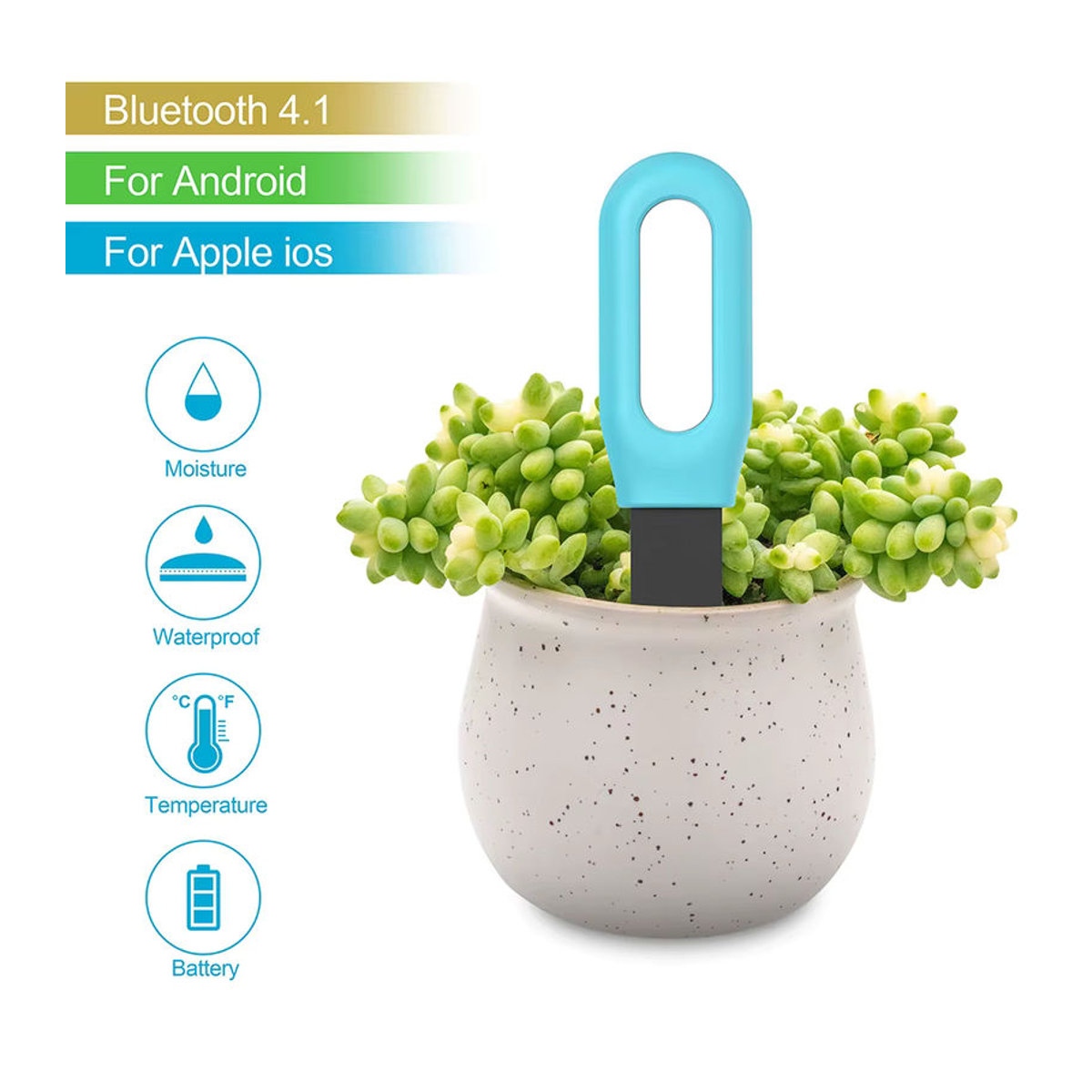 Haozee Tuya Smart Bluetooth Bodentester Blau – Temperatur- und Feuchtigkeitsmesser für deine Gartenautomatisierung und Bewässerung - Bild 2