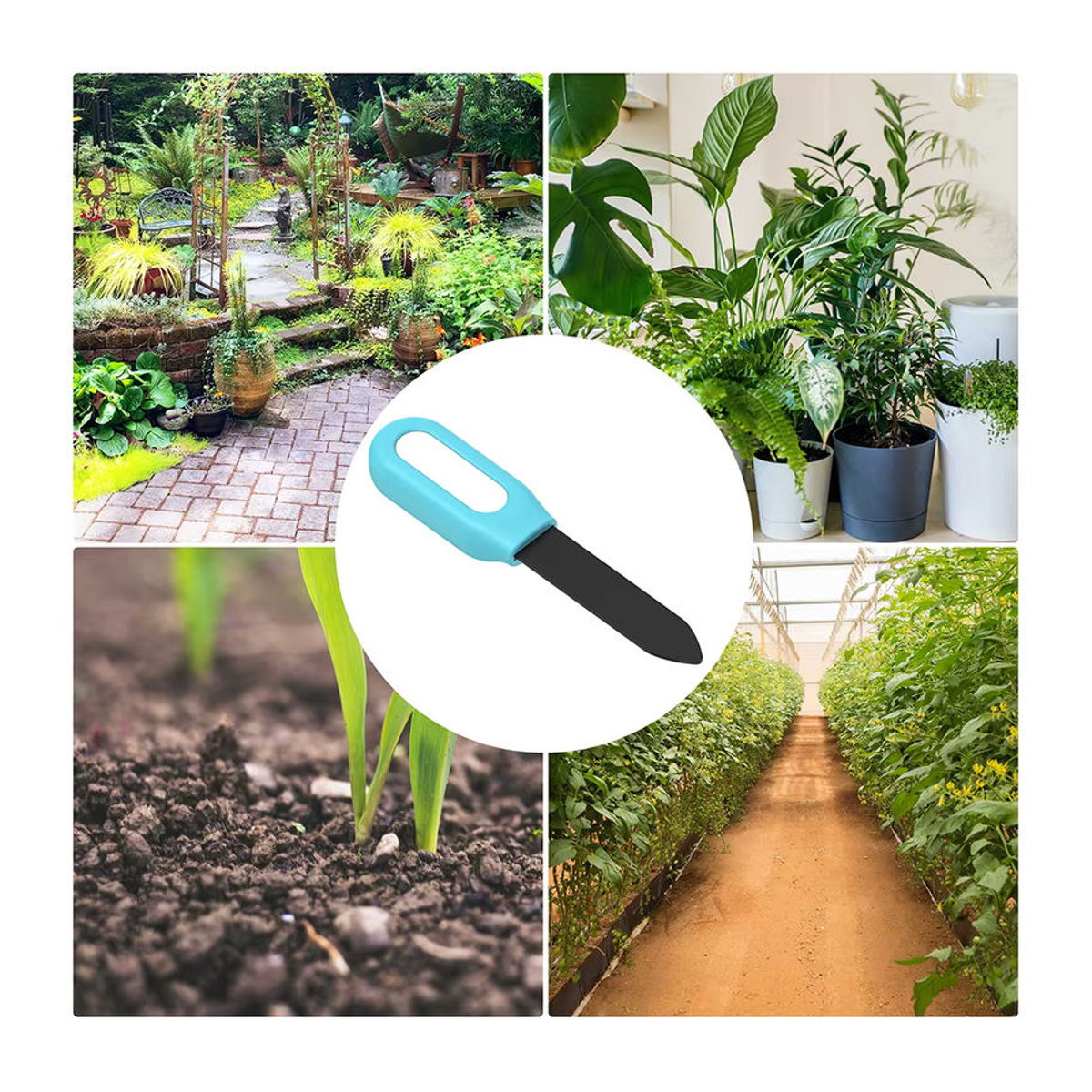 Haozee Tuya Smart Bluetooth Bodentester Blau – Temperatur- und Feuchtigkeitsmesser für deine Gartenautomatisierung und Bewässerung - Bild 3