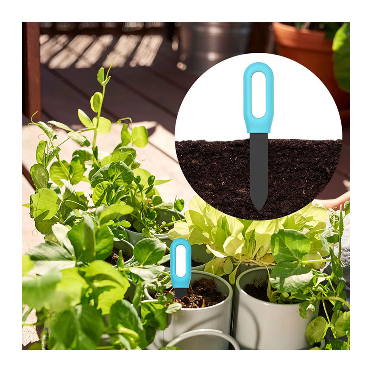 Haozee Tuya Smart Bluetooth Bodentester Blau – Temperatur- und Feuchtigkeitsmesser für deine Gartenautomatisierung und Bewässerung - Bild 5