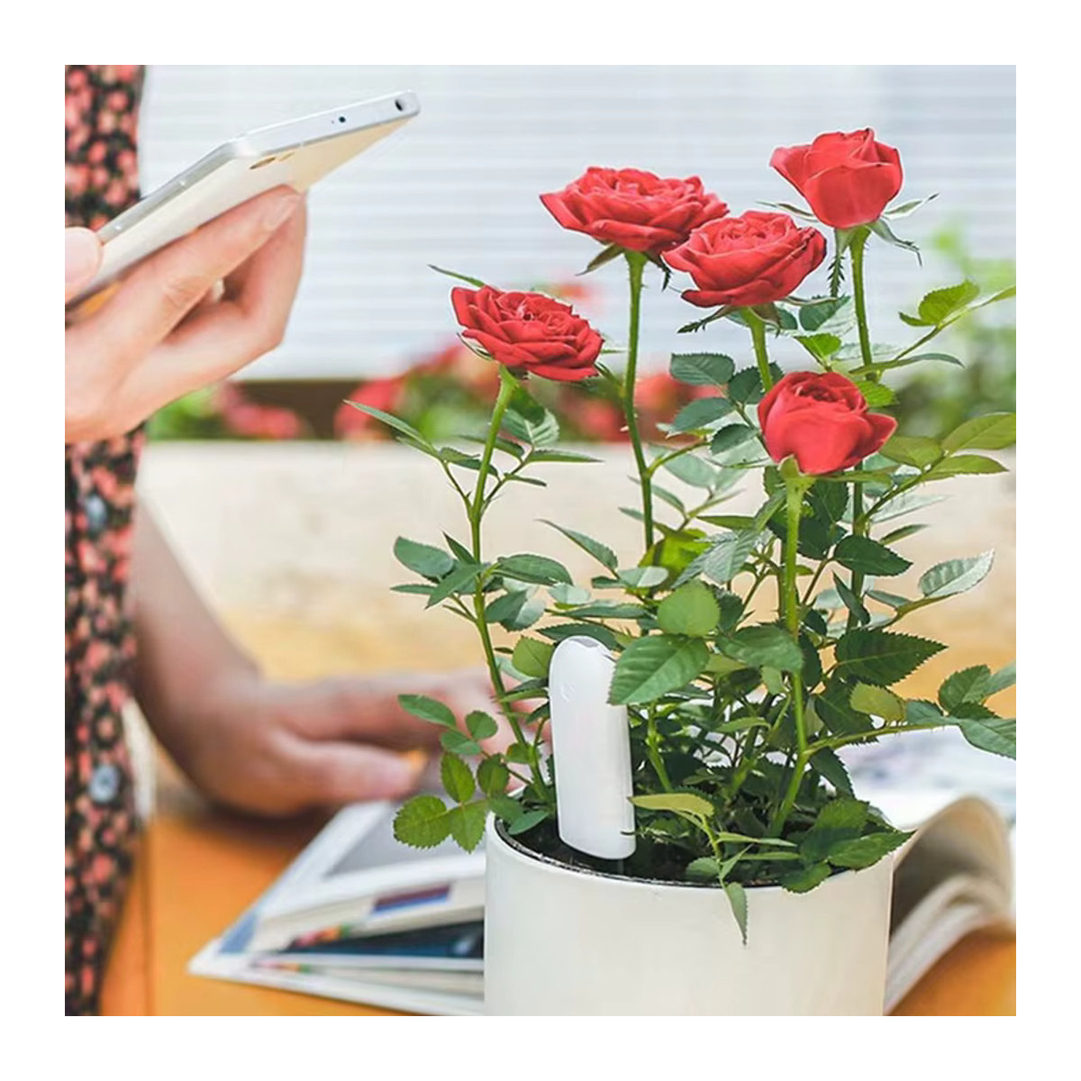 HHCC Flora Monitor Global Version Bodenwassertester Sensor für die Xiaomi Mijia App zur Pflanzenpflege - Bild 3