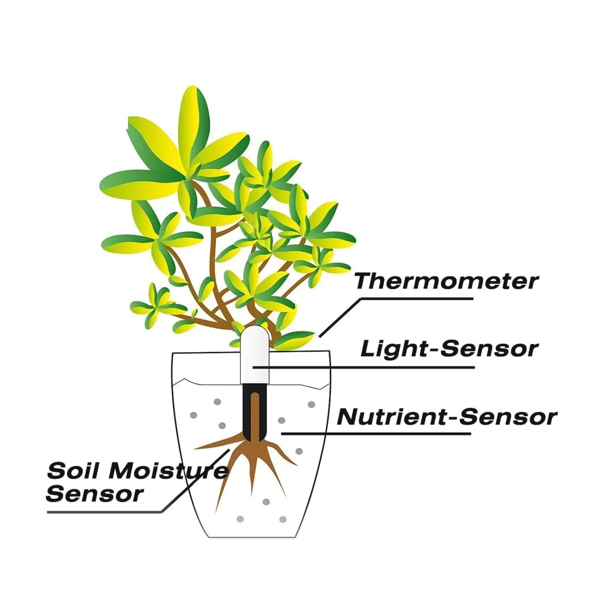 HHCC Flora Monitor Global Version Bodenwassertester Sensor für die Xiaomi Mijia App zur Pflanzenpflege - Bild 5
