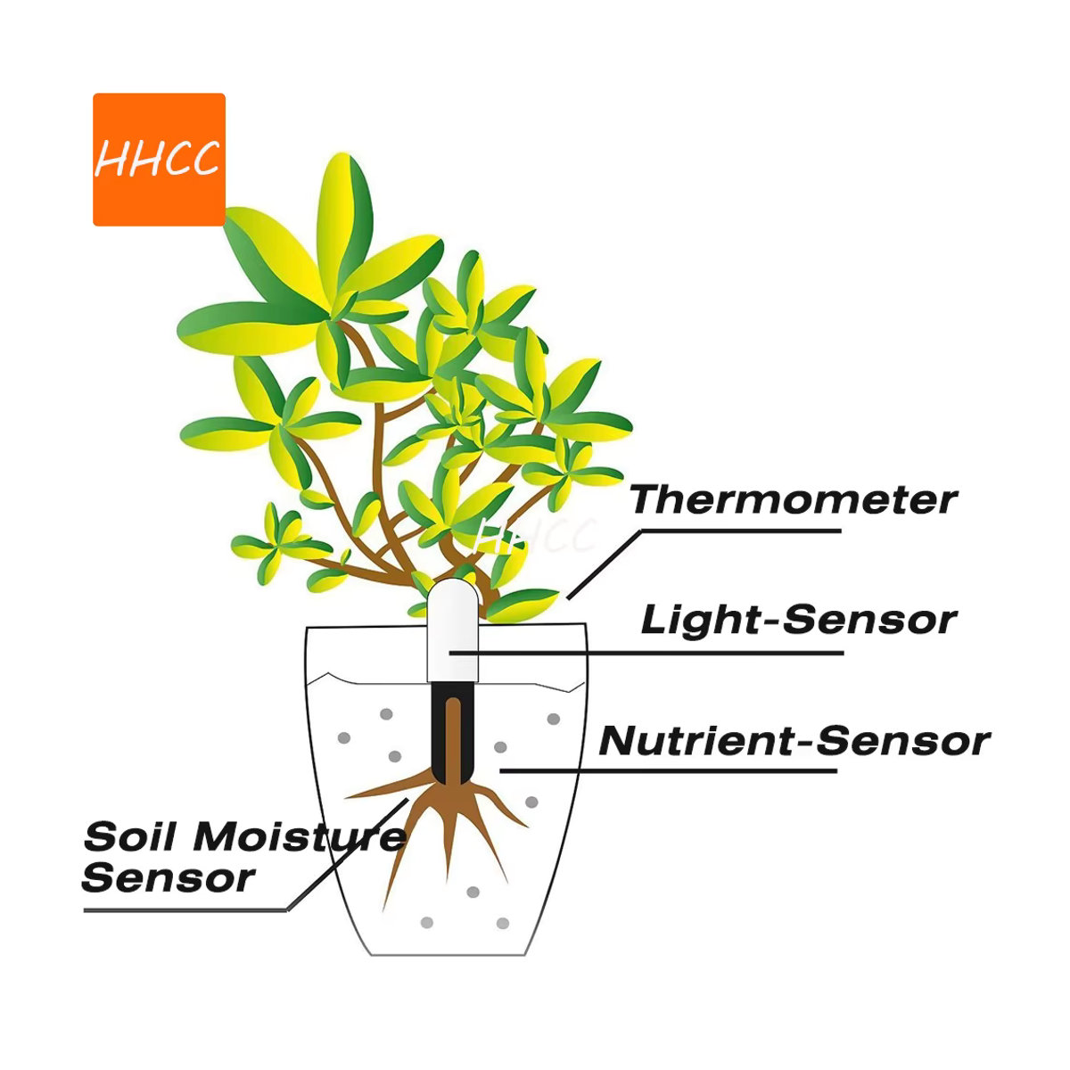HHCC Smart Pflanzenmonitor Flora Gartenpflege Sensor für Bodenfeuchtigkeit und Fruchtbarkeit kompatibel mit Xiaomi von Timethinker - Bild 3