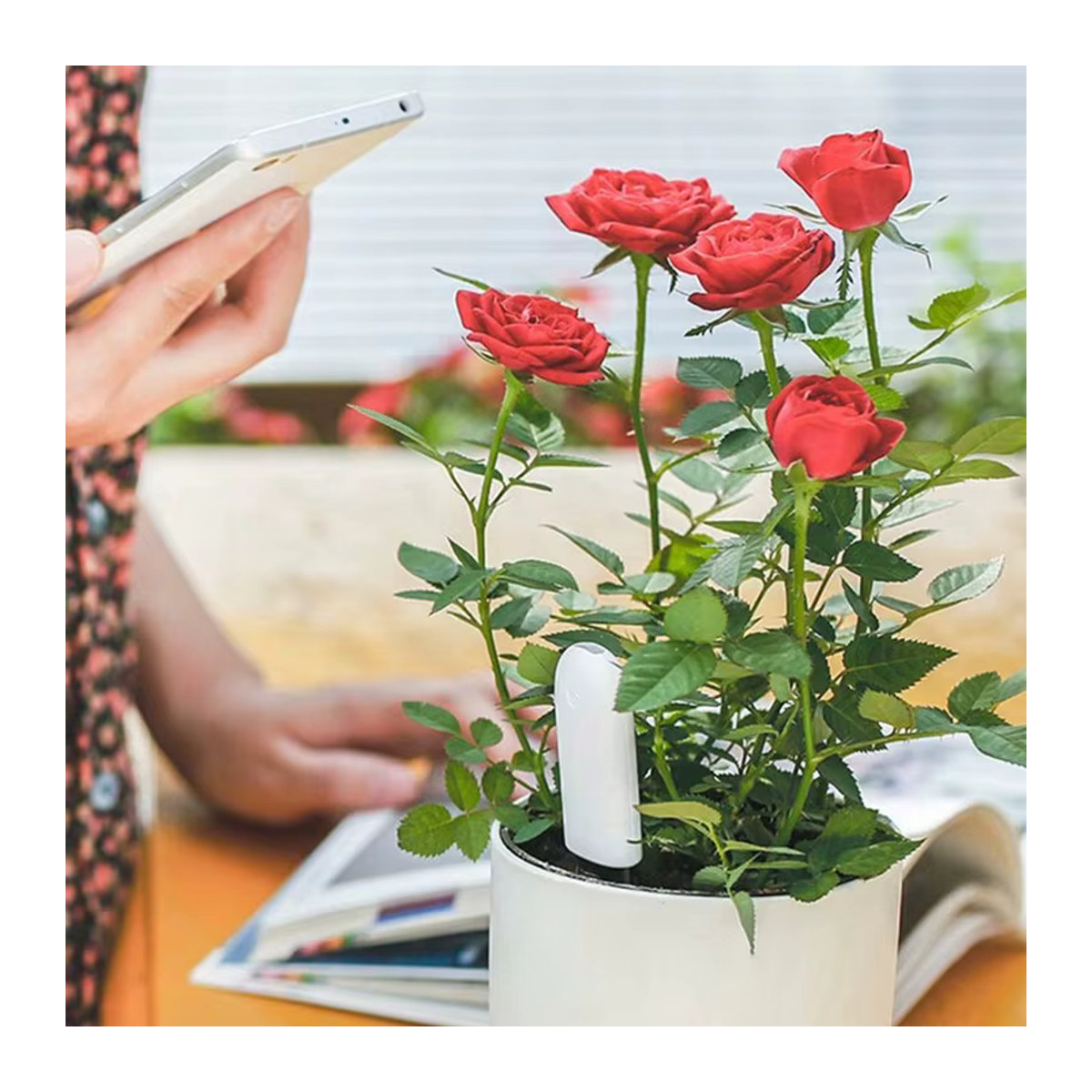 Hhcc Smart Pflanzensensor Flora Garten Monitor für Xiaomi Mijia zur Messung von Bodenfeuchtigkeit und Fruchtbarkeit - Bild 3