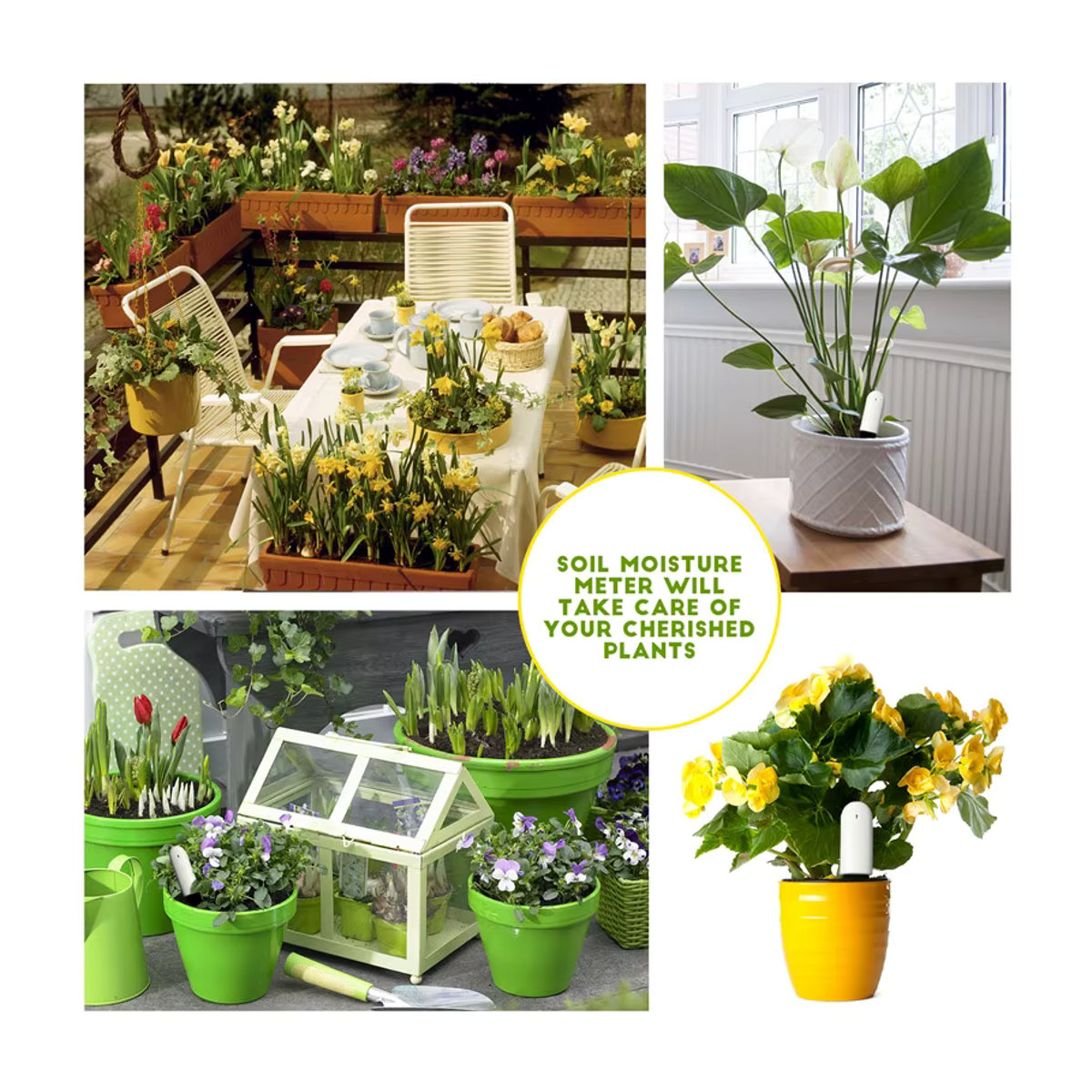 Hhcc Smart Pflanzensensor Flora Garten Monitor für Xiaomi Mijia zur Messung von Bodenfeuchtigkeit und Fruchtbarkeit - Bild 4