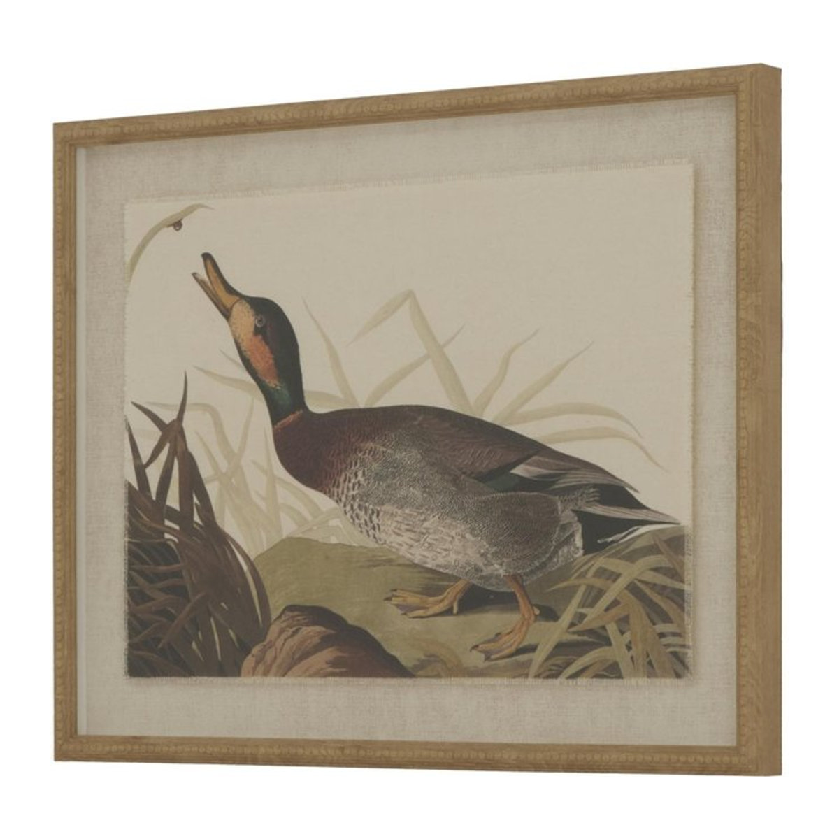 Hill Interiors Flora & Fauna Kollektion Ente Gerahmter Kunstdruck auf Leinen in Schwarz, Breite: 50 cm, Höhe: 50 cm, Tiefe: 2 cm - Bild 1