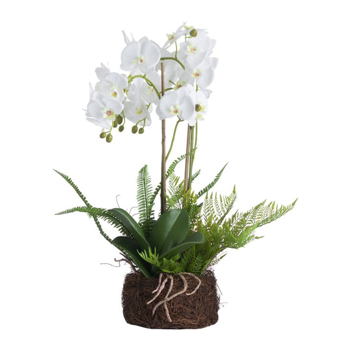 Hill Interiors Künstlicher Orchideen- und Farngarten in Weiß mit Wurzelballen - Bild 1