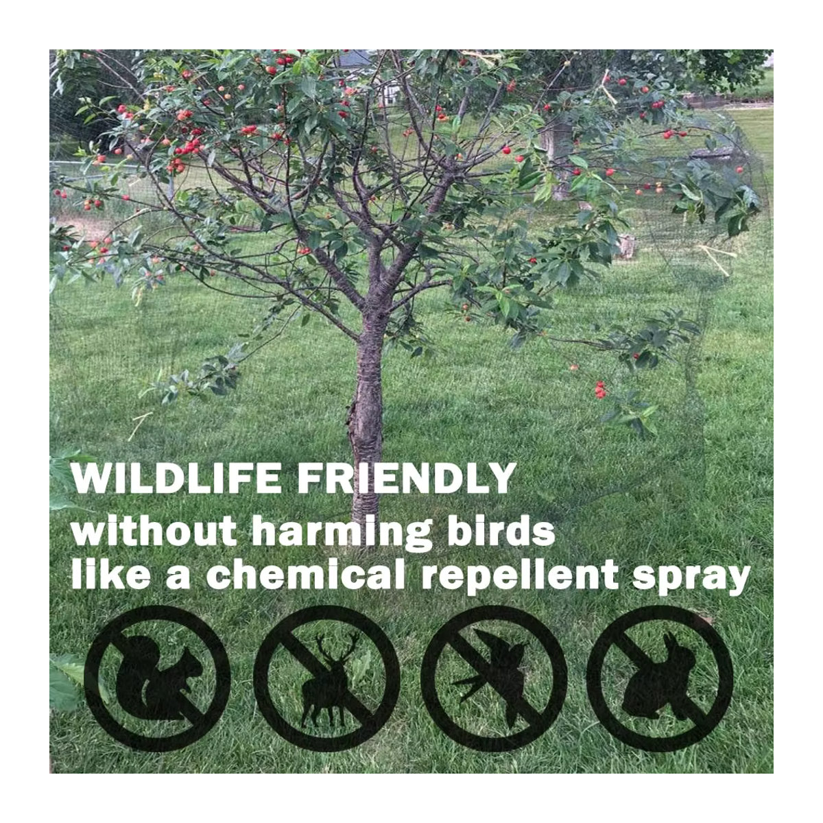 Hochleistungs-Gartenschutznetz zum Schutz von Gemüse und Obstbäumen gegen Vögel und Schädlinge - Bild 2