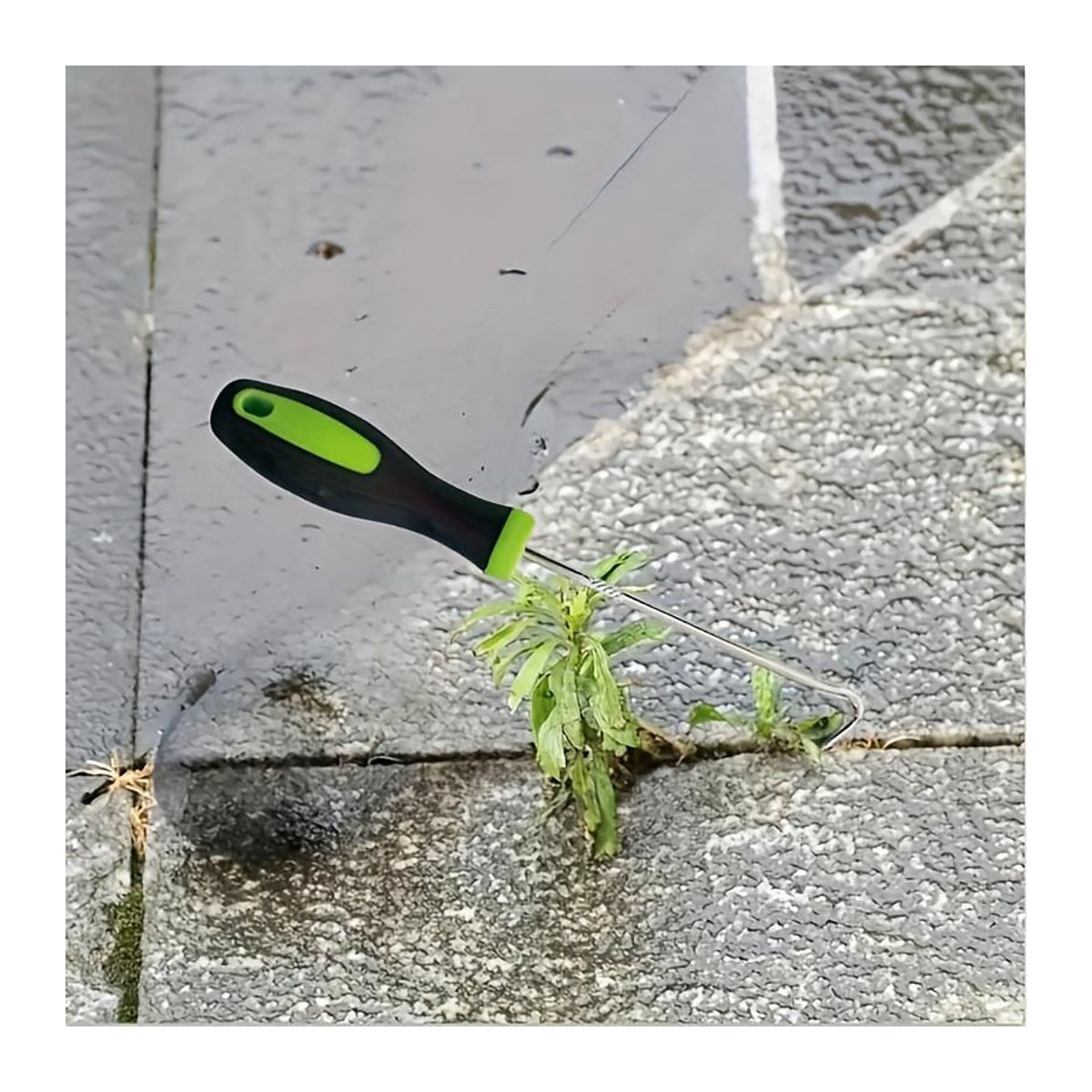 Home Whispers Unkrautzieher aus Metall in Grün für Garten, Rasen und Gehwege - Bild 4