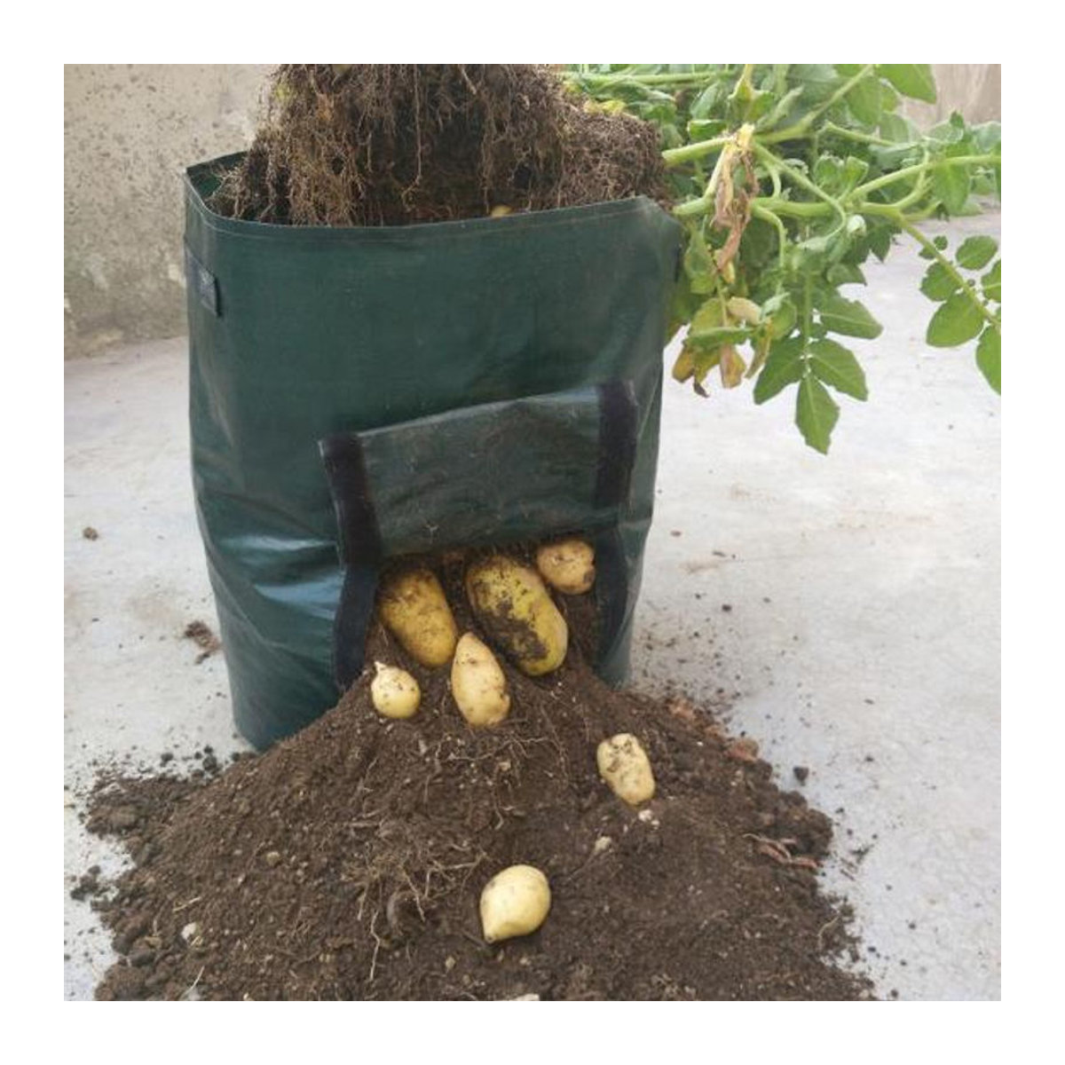 HOMEKA Anbaubeutel für Kartoffeln, Tomaten und Gemüse in Silber, 7 Gallon, aus Kunststoff - Bild 3
