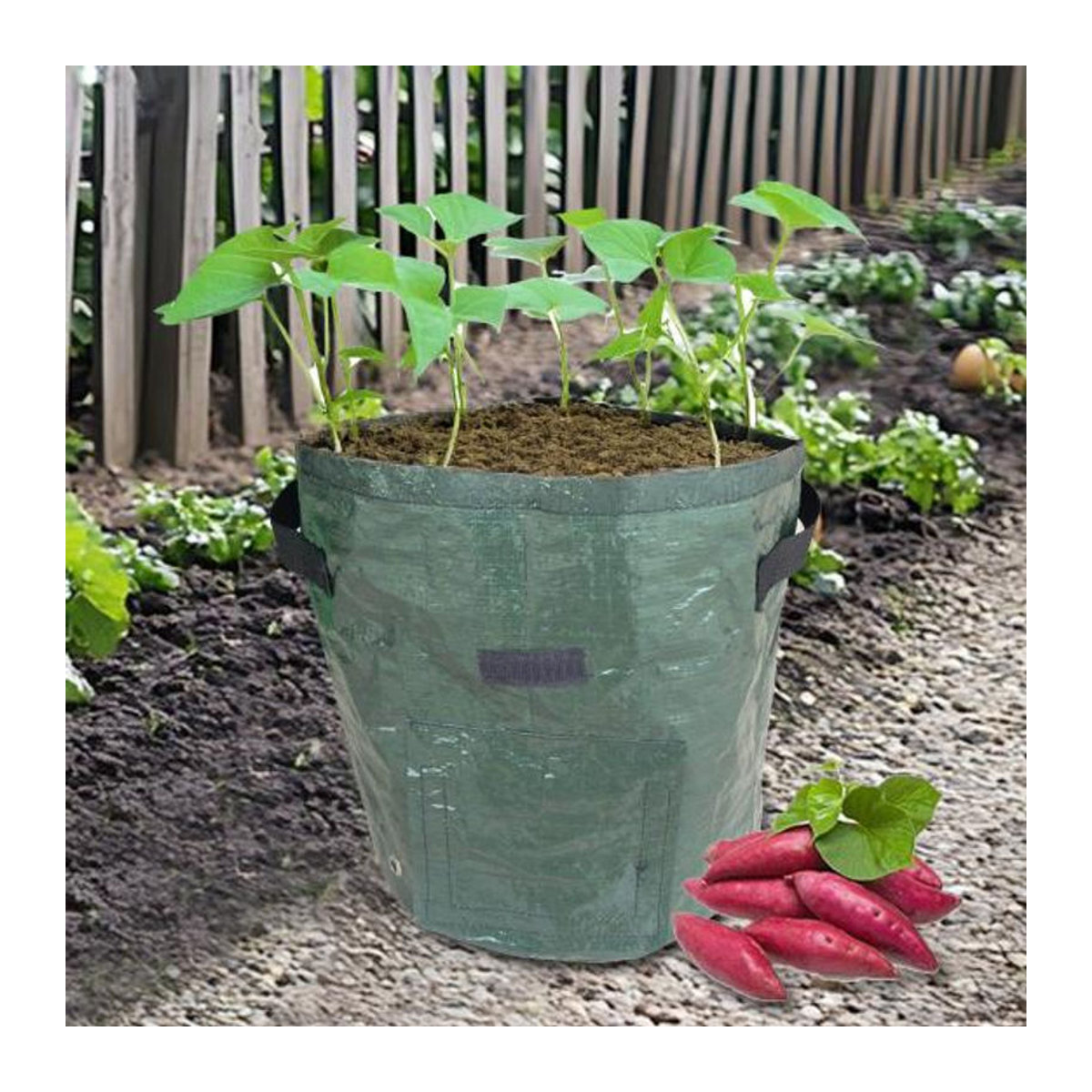 HOMEKA Anbaubeutel für Kartoffeln, Tomaten und Gemüse in Silber, 7 Gallon, aus Kunststoff - Bild 4