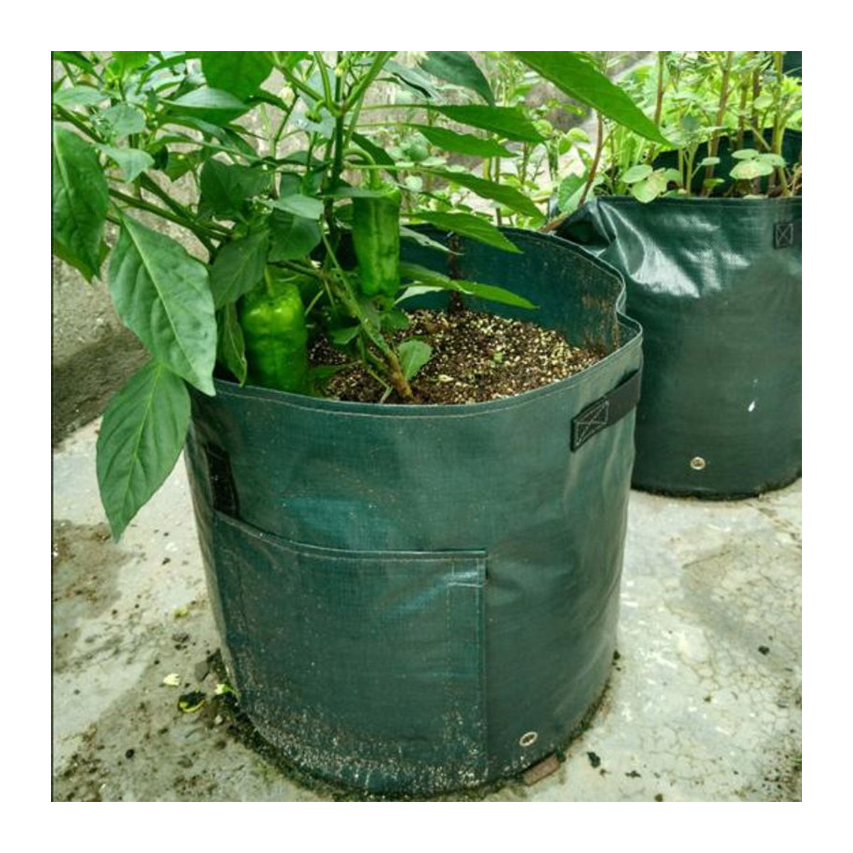 HOMEKA Anbaubeutel für Kartoffeln, Tomaten und Gemüse in Silber, 7 Gallon, aus Kunststoff - Bild 7