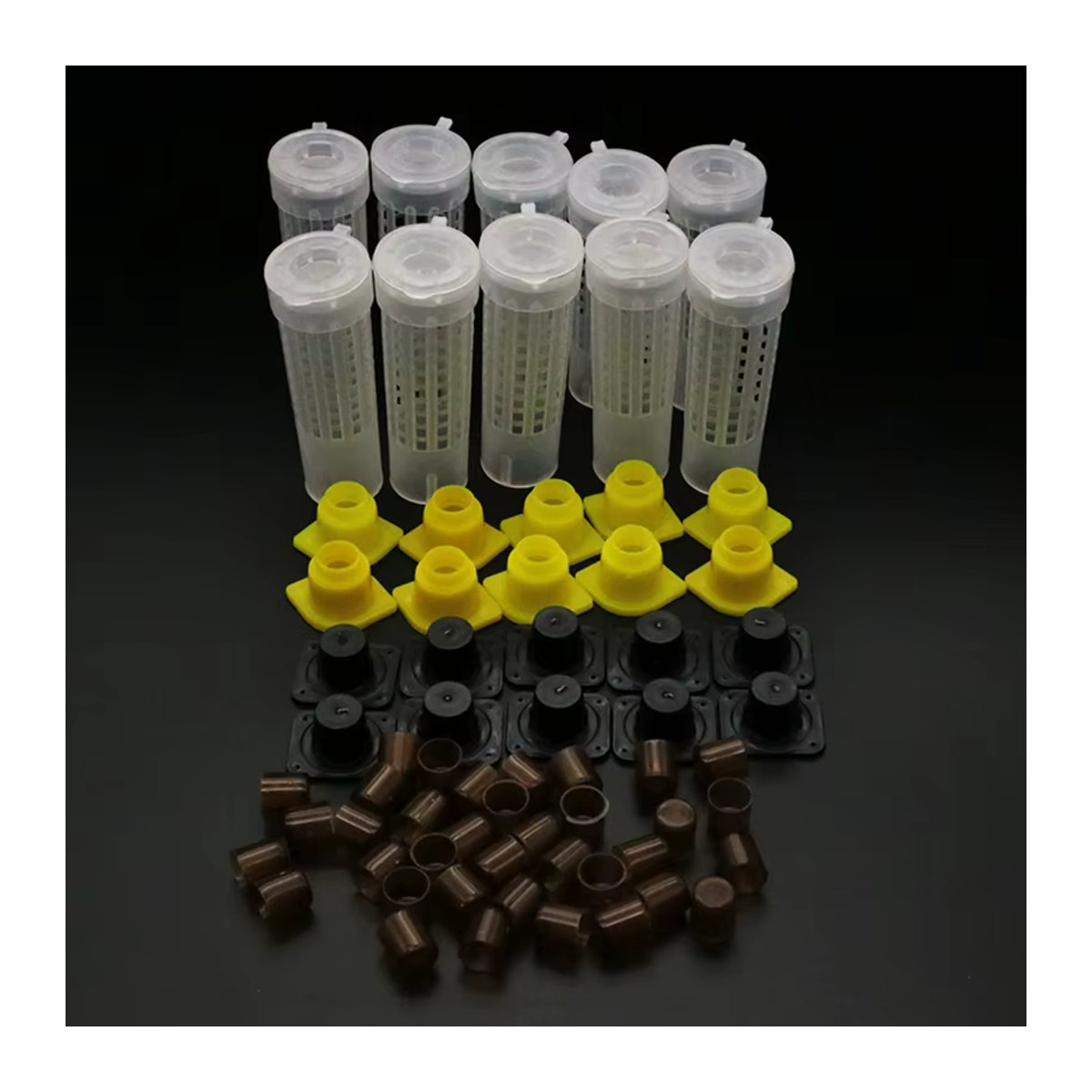 Howells Bienenzucht-Komplettset mit Königinnenkäfig, Aufzucht-Cups und Catcher Box in Bunt aus Kunststoff - Bild 2