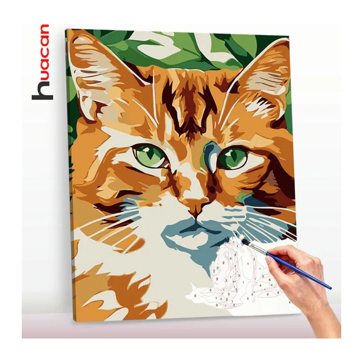 Huacan Malen nach Zahlen Set mit Katzen-Motiv als DIY Ölgemälde in Mehrfarbig - Bild 1