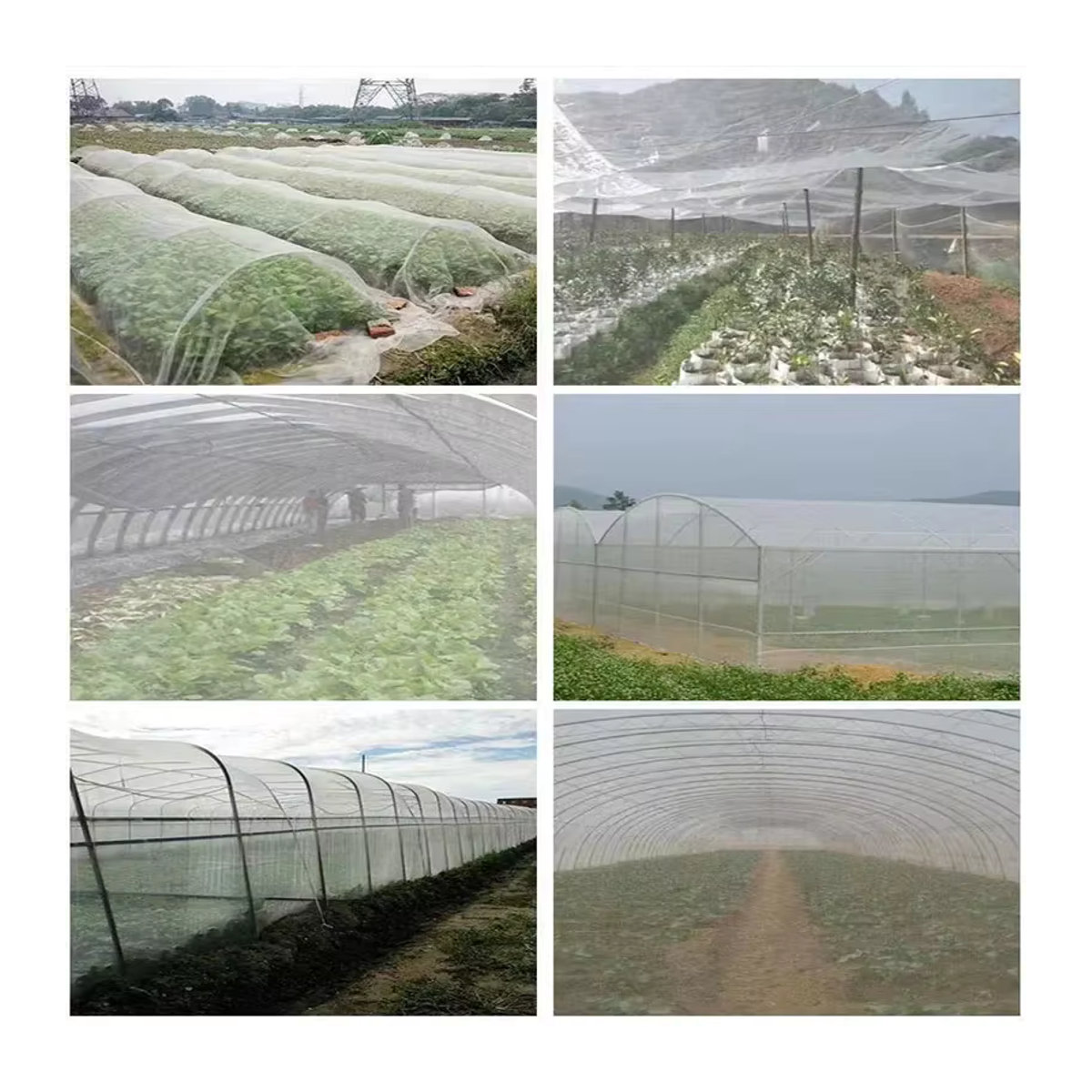 Insektenschutznetz für Garten und Gewächshaus mit 60 Mesh zur Abdeckung von Gemüse, Obst und Blumen - Bild 3
