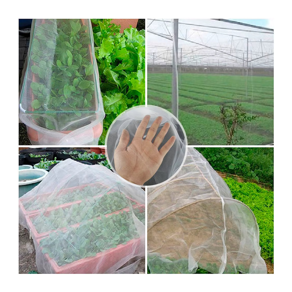 Insektenschutznetz für Garten und Gewächshaus mit 60 Mesh zur Schädlingsbekämpfung und als Anti-Vogel-Schutz für Gemüse, Obst und Pflanzen - Bild 4