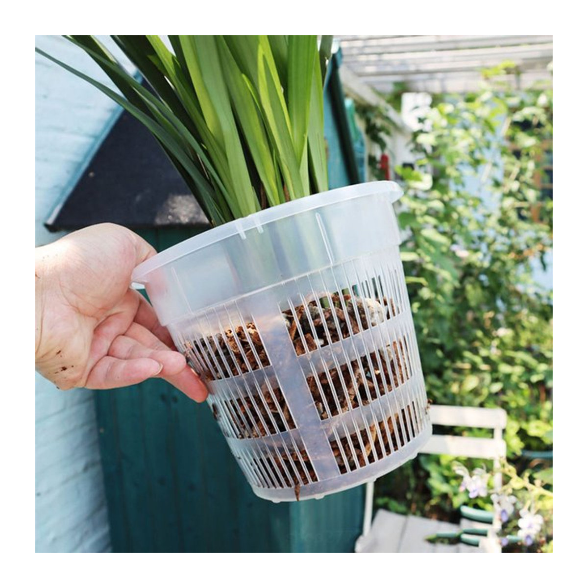 JETTING Garten Blumentopf aus transparentem Kunststoff mit Mesh-Struktur zur Wurzelkontrolle für Orchideen, B/H: 11 x 14 cm oder 14 x 11 cm - Bild 1