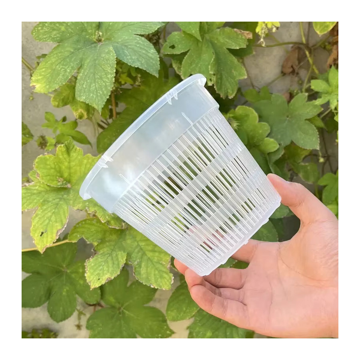 JETTING Garten Blumentopf aus transparentem Kunststoff mit Mesh-Struktur zur Wurzelkontrolle für Orchideen, B/H: 11 x 14 cm oder 14 x 11 cm - Bild 2
