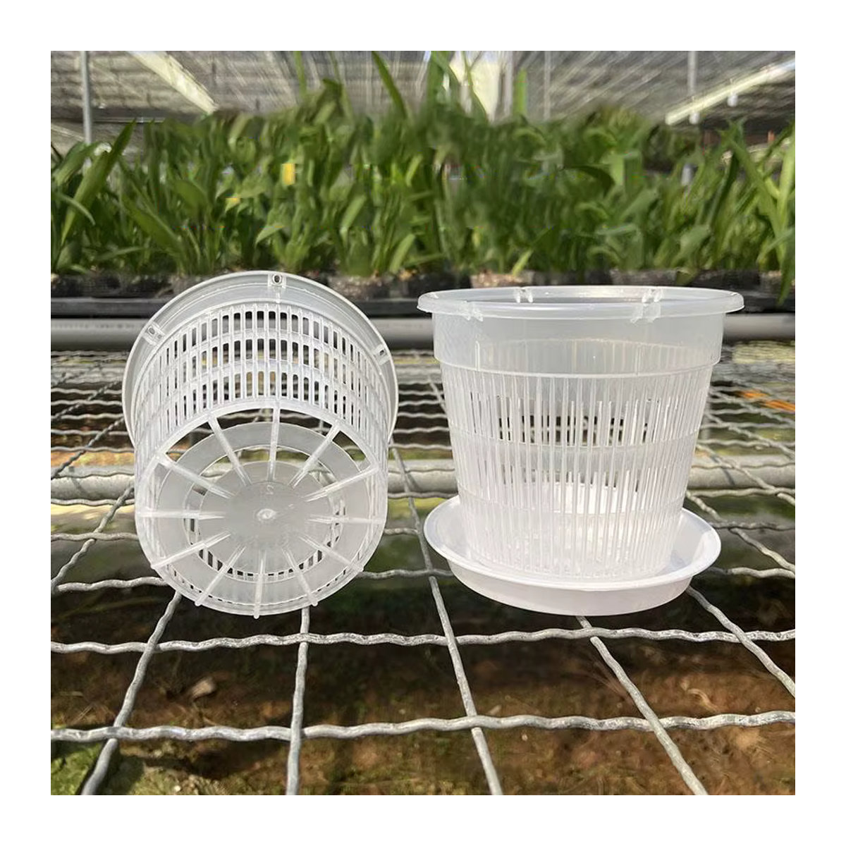 JETTING Garten Blumentopf aus transparentem Kunststoff mit Mesh-Struktur zur Wurzelkontrolle für Orchideen, B/H: 11 x 14 cm oder 14 x 11 cm - Bild 3