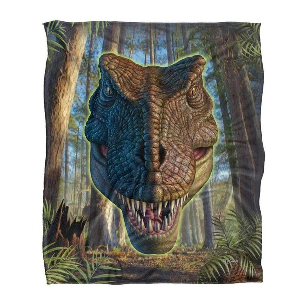 JQ Licensing JLo Seidige Dinosaurier Superweiche Decke in One Size - Bild 1