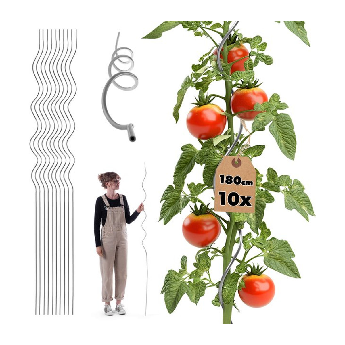 KADAX Aluminium Spiralpflanzenstütze 10er Set, Höhe: 180 cm - Bild 1