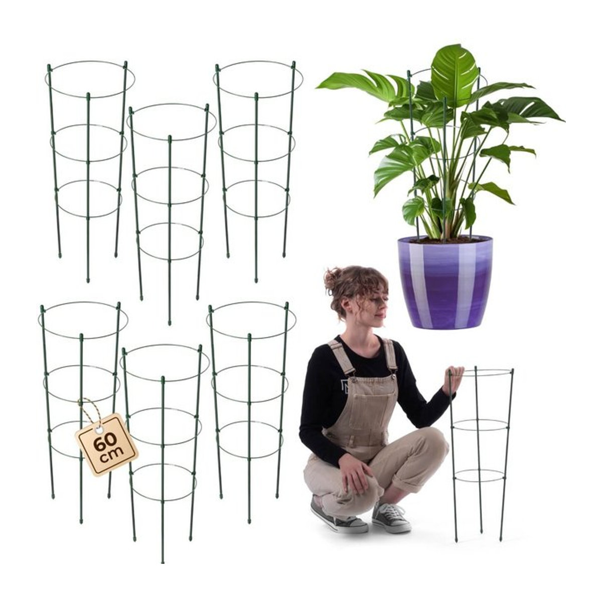 KADAX Metall Pflanzenstütze 6er Set Höhe: 60 cm - Bild 1