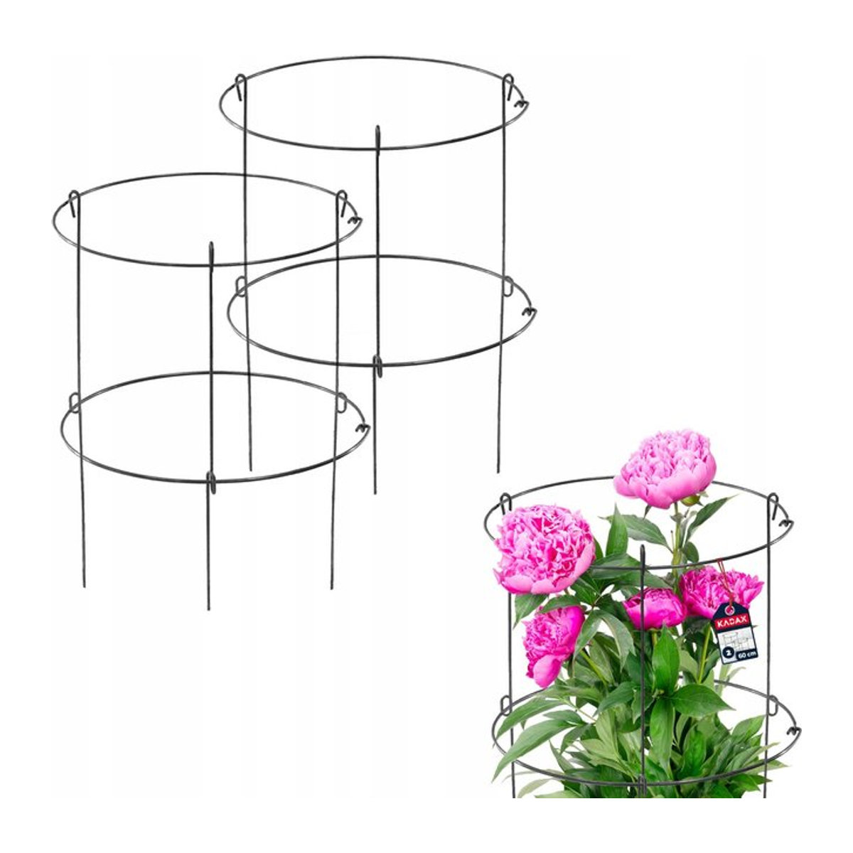 KADAX Pflanzenstütze für Blumen und Garten aus Stahl, 2er-Set, Höhe: 60 cm - Bild 1