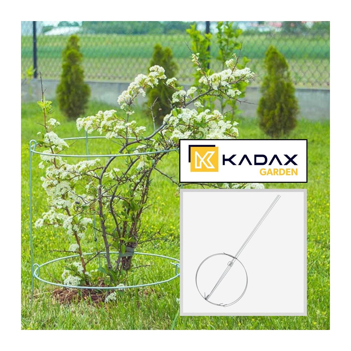 KADAX Pflanzenstütze für Blumen und Garten aus Stahl, 2er-Set, Höhe: 60 cm - Bild 2